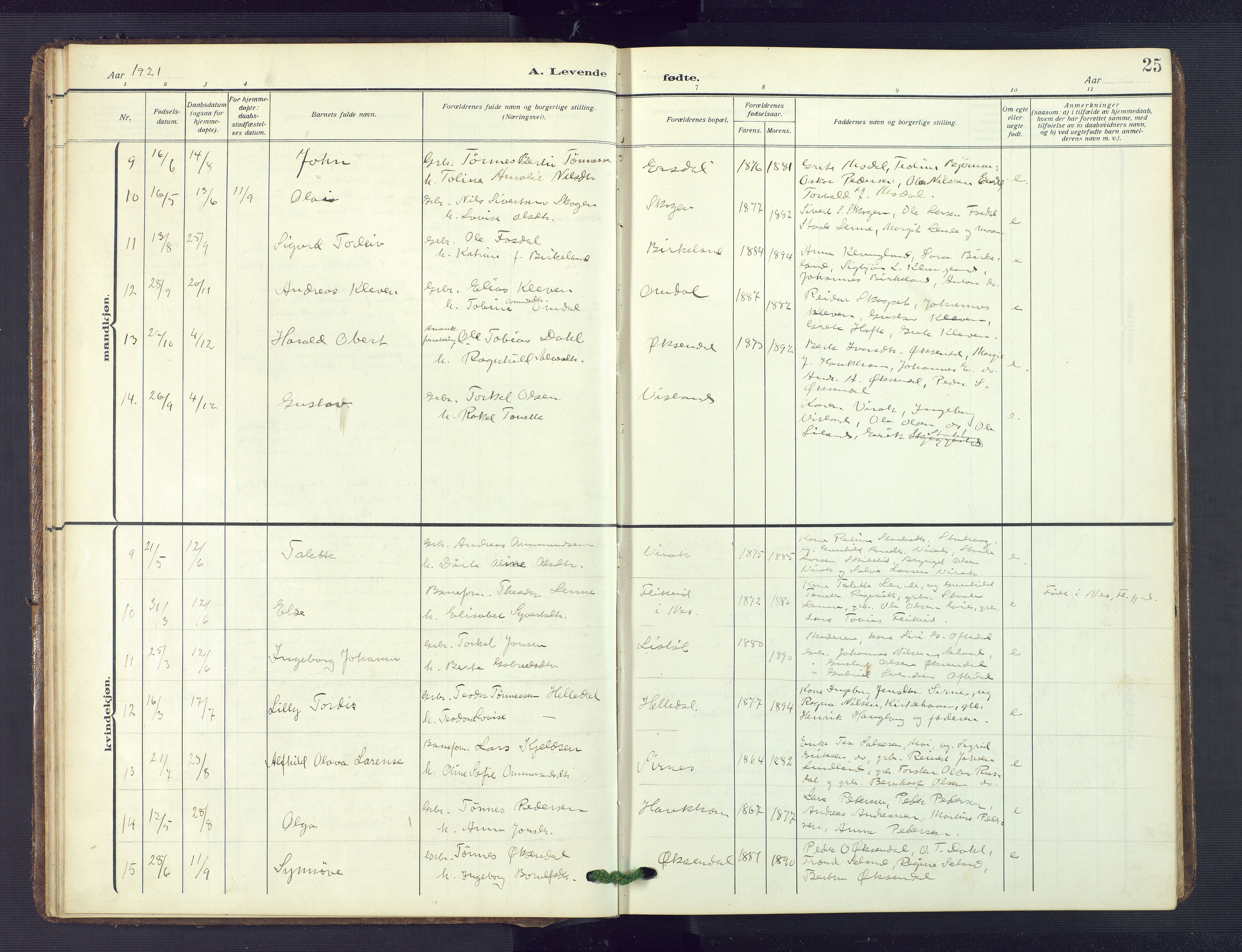 Bakke sokneprestkontor, AV/SAK-1111-0002/F/Fb/Fba/L0004: Parish register (copy) no. B 4, 1911-1946, p. 25