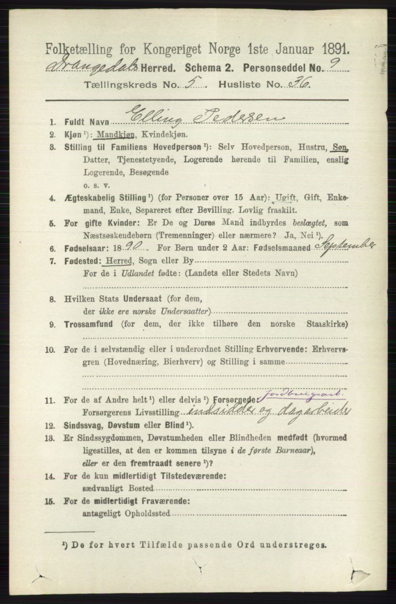 RA, 1891 census for 0817 Drangedal, 1891, p. 1919