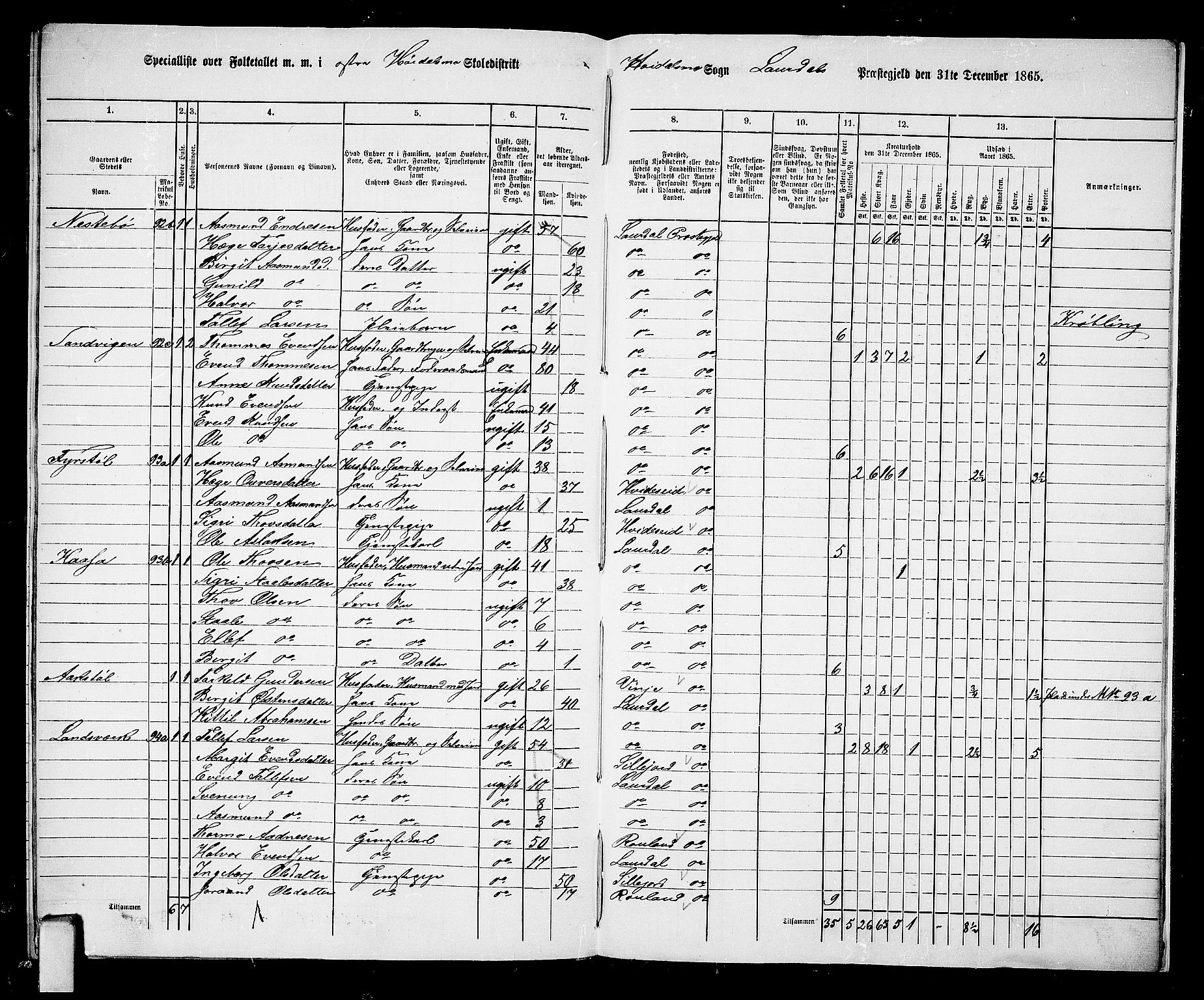 RA, 1865 census for Lårdal, 1865, p. 63