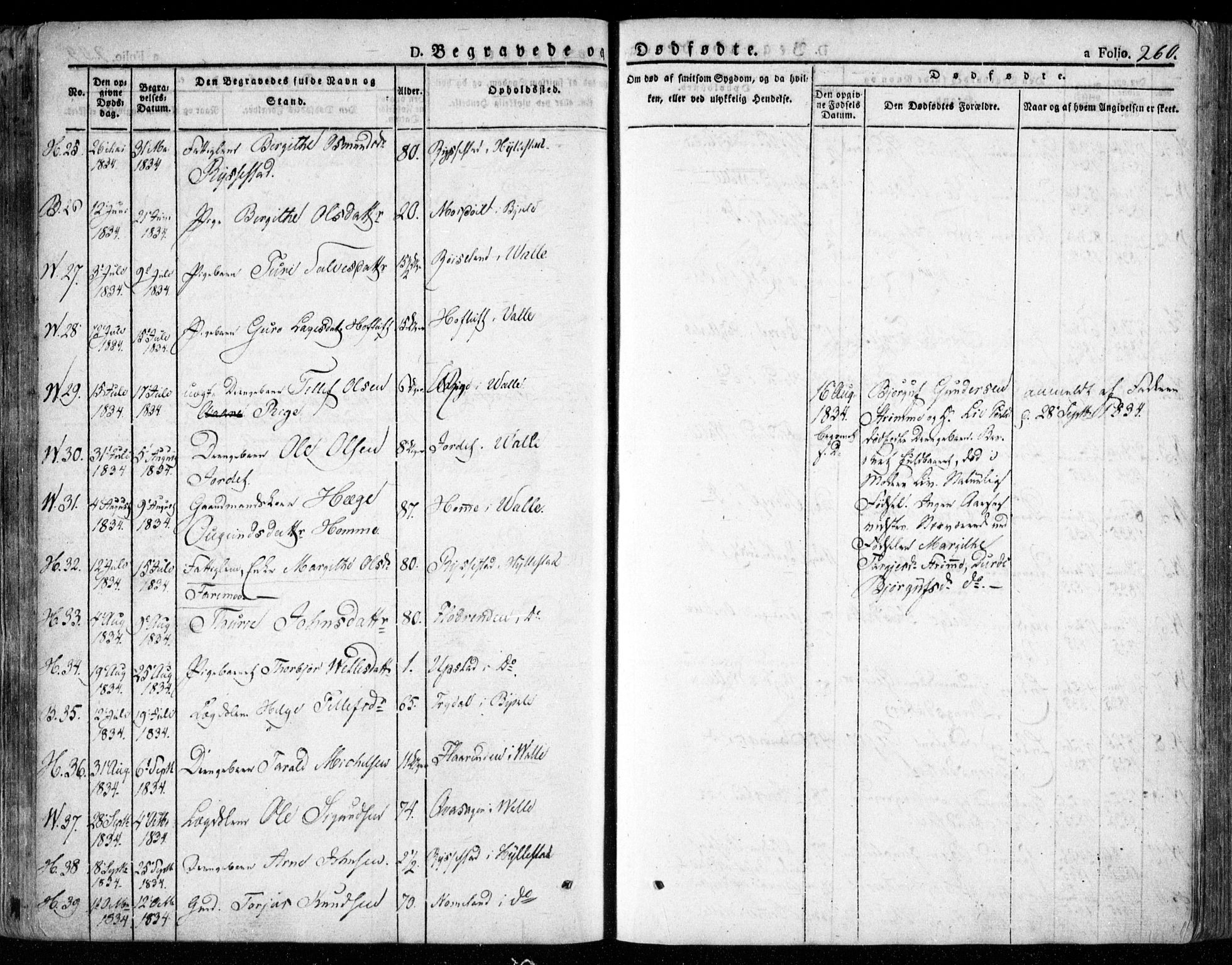 Valle sokneprestkontor, AV/SAK-1111-0044/F/Fa/Fac/L0006: Parish register (official) no. A 6, 1831-1853, p. 260