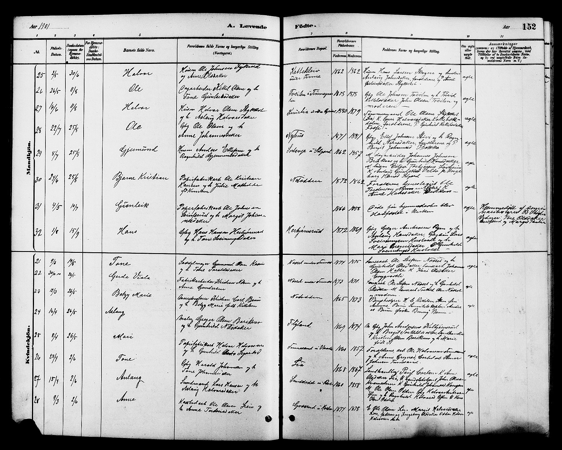 Heddal kirkebøker, AV/SAKO-A-268/G/Ga/L0002: Parish register (copy) no. I 2, 1879-1908, p. 152