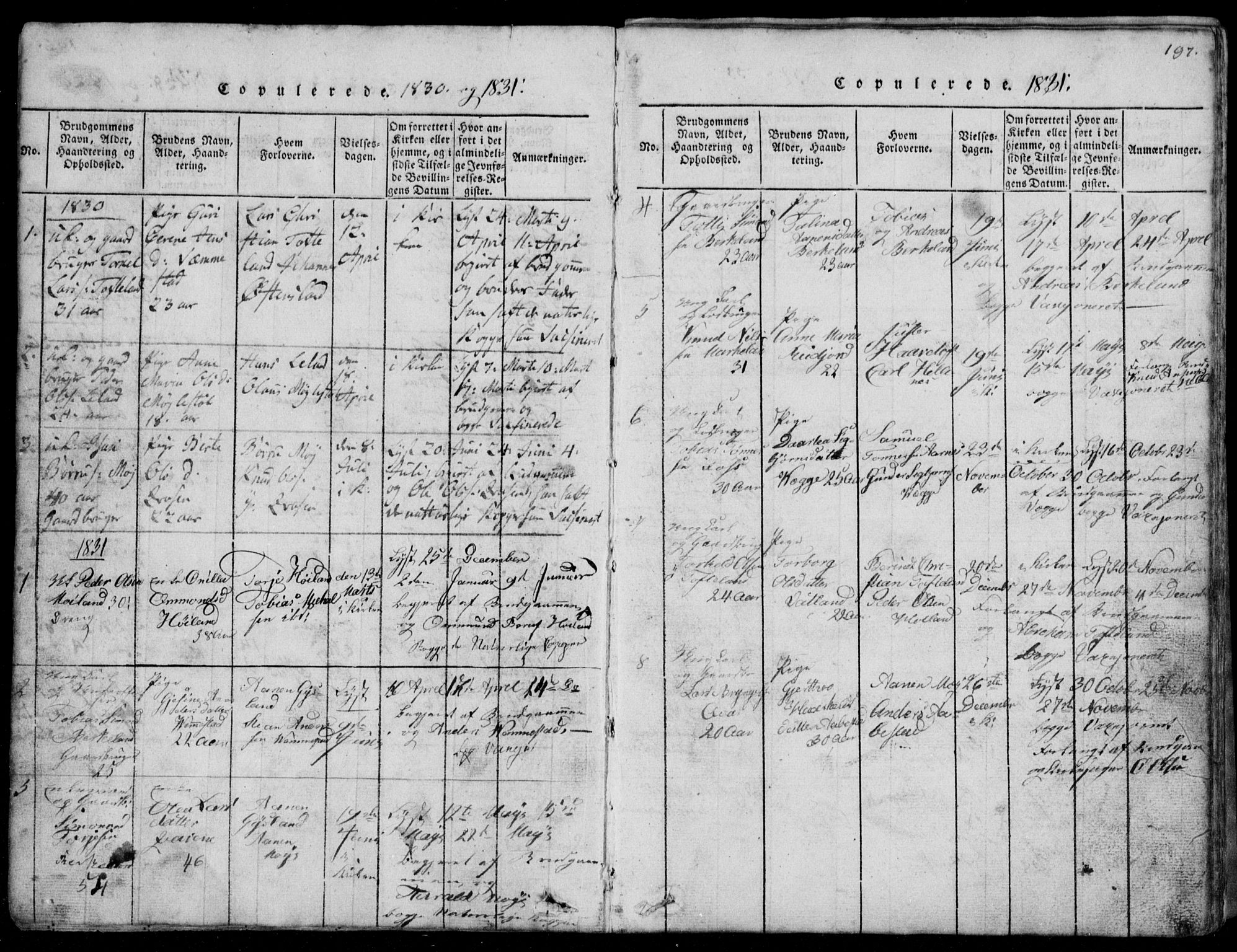 Lyngdal sokneprestkontor, AV/SAK-1111-0029/F/Fb/Fbb/L0001: Parish register (copy) no. B 1, 1816-1900, p. 197