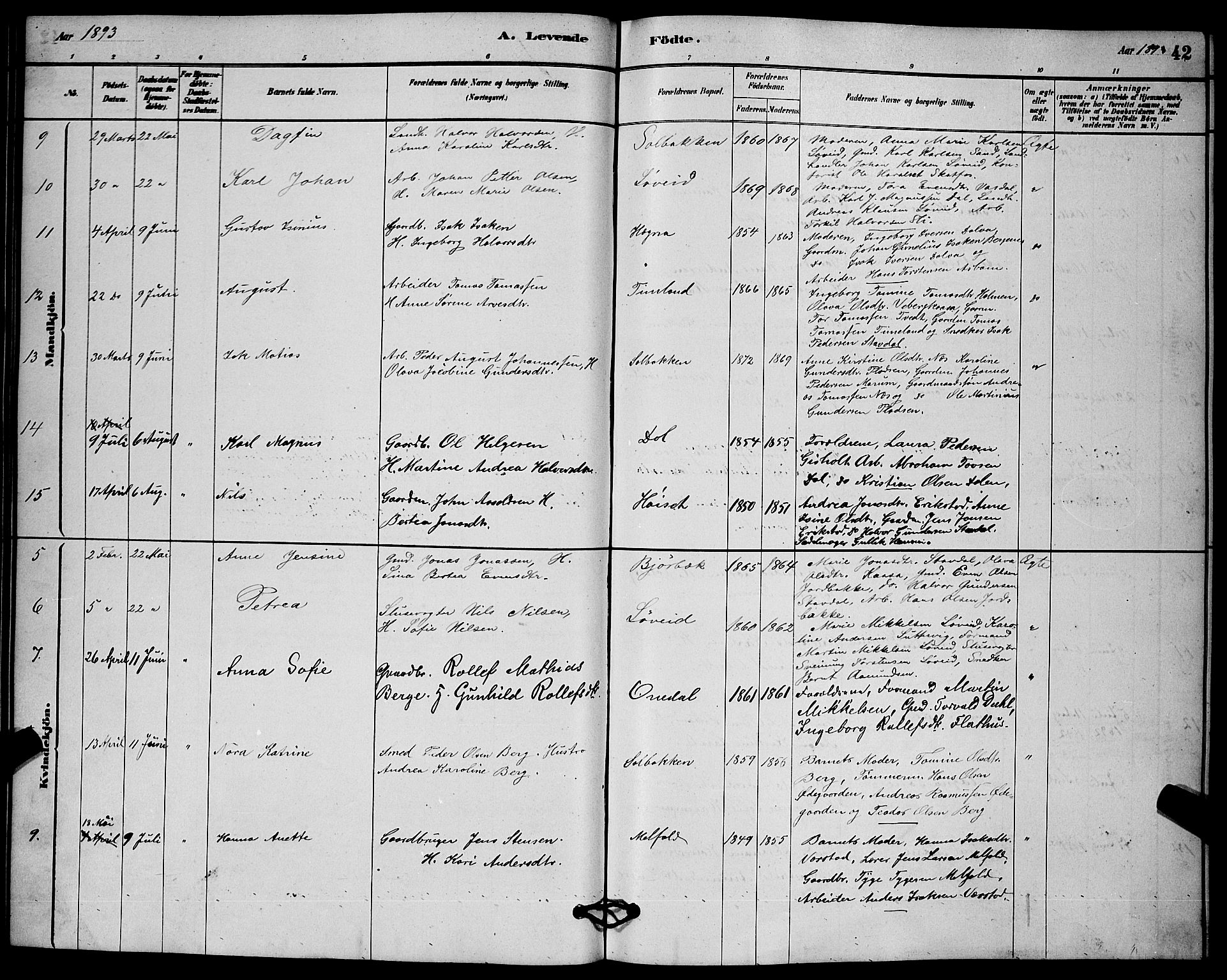 Solum kirkebøker, SAKO/A-306/G/Gb/L0003: Parish register (copy) no. II 3, 1880-1898, p. 42