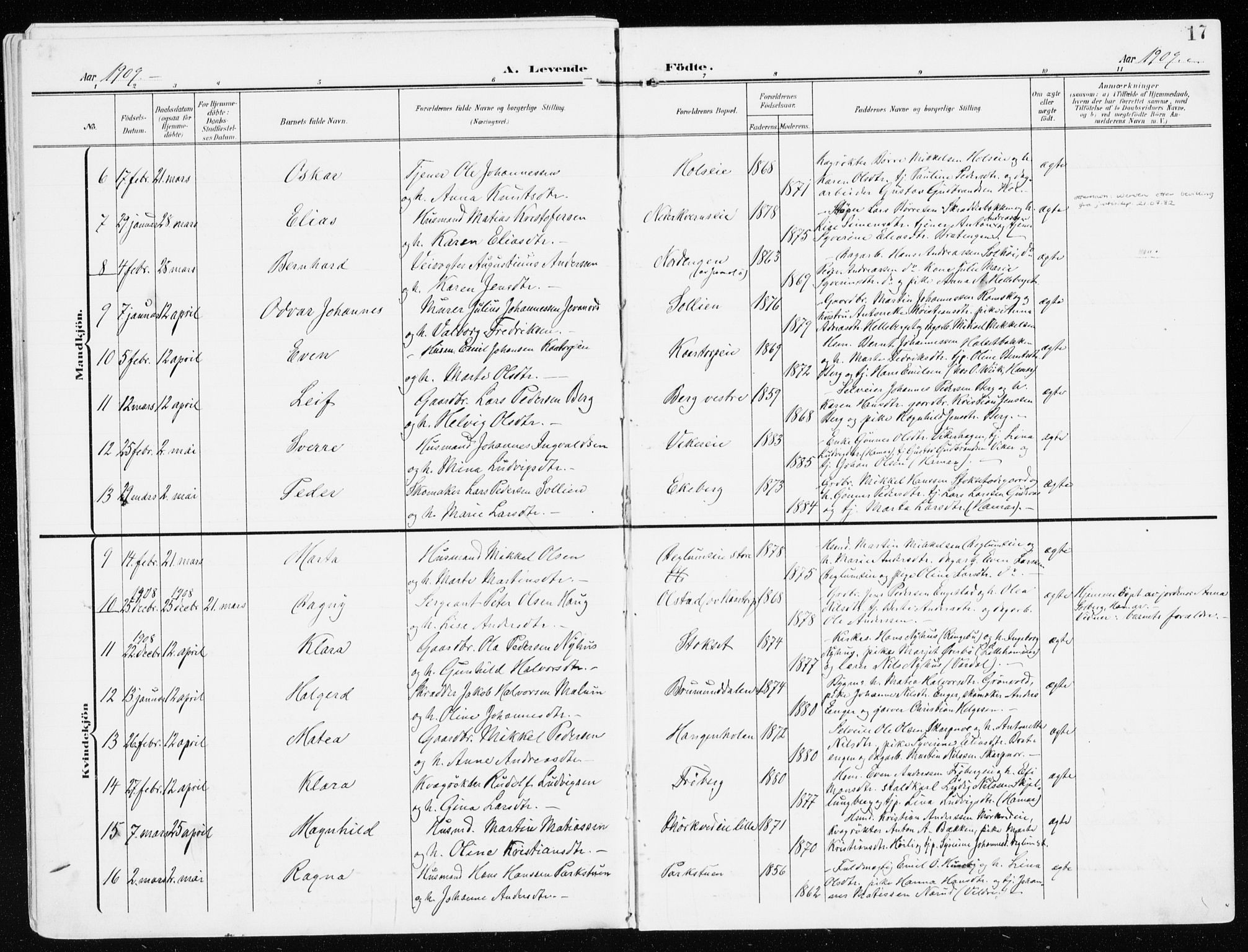 Furnes prestekontor, SAH/PREST-012/K/Ka/L0001: Parish register (official) no. 1, 1907-1935, p. 17