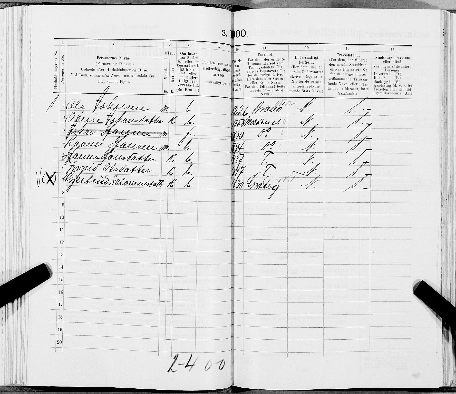 SAT, 1900 census for Bindal, 1900, p. 850