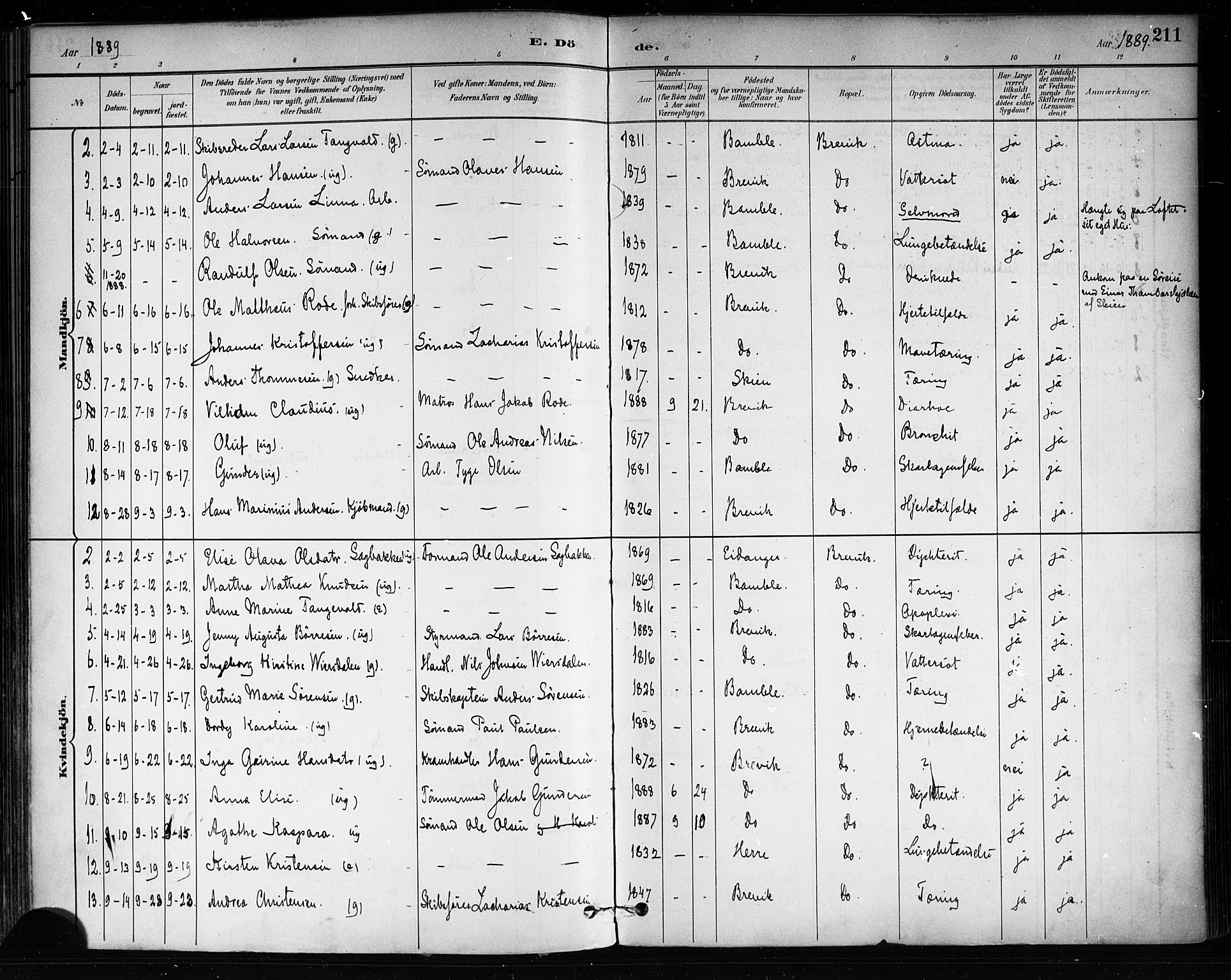 Brevik kirkebøker, SAKO/A-255/F/Fa/L0007: Parish register (official) no. 7, 1882-1900, p. 211