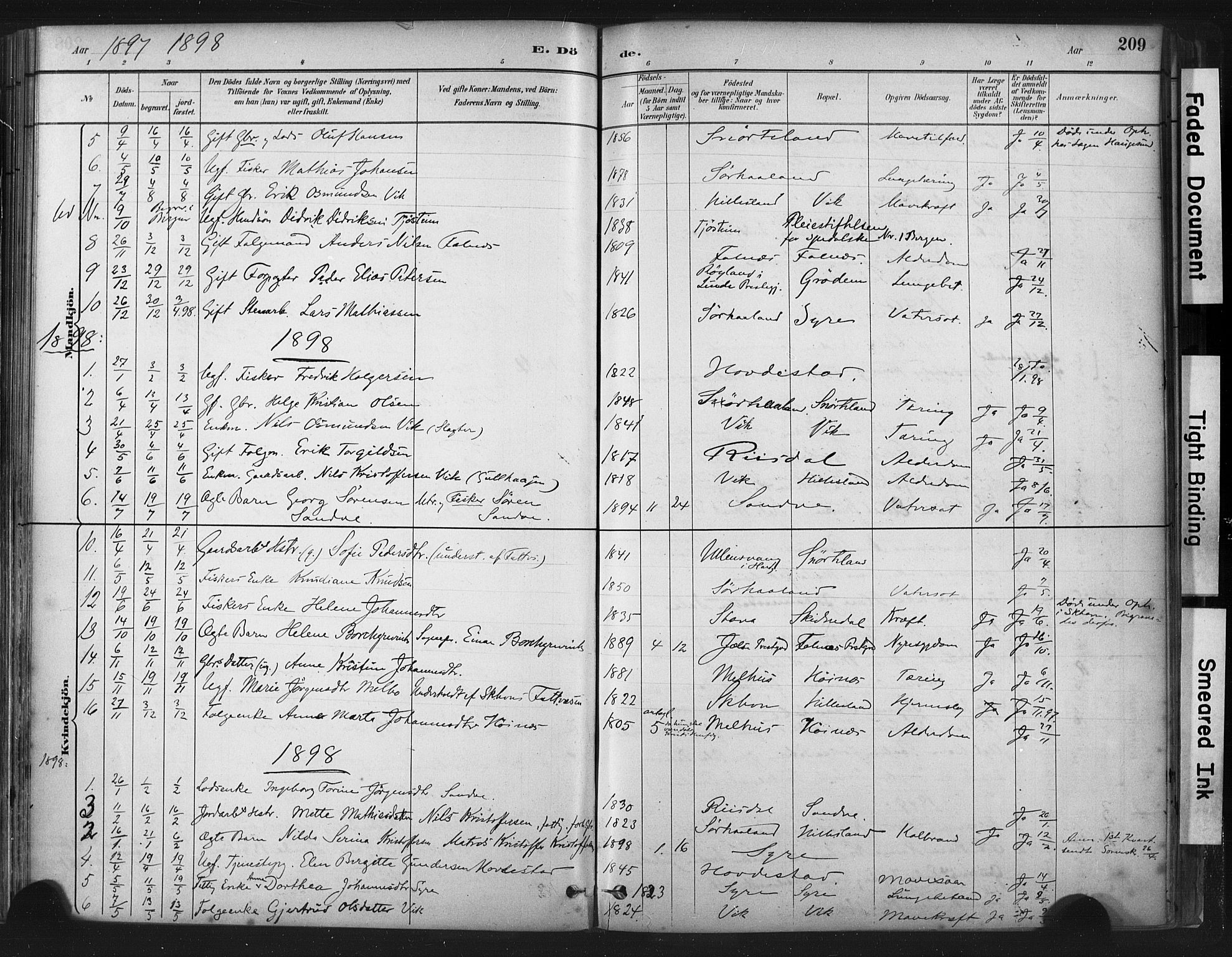 Skudenes sokneprestkontor, AV/SAST-A -101849/H/Ha/Haa/L0009: Parish register (official) no. A 6, 1882-1912, p. 209