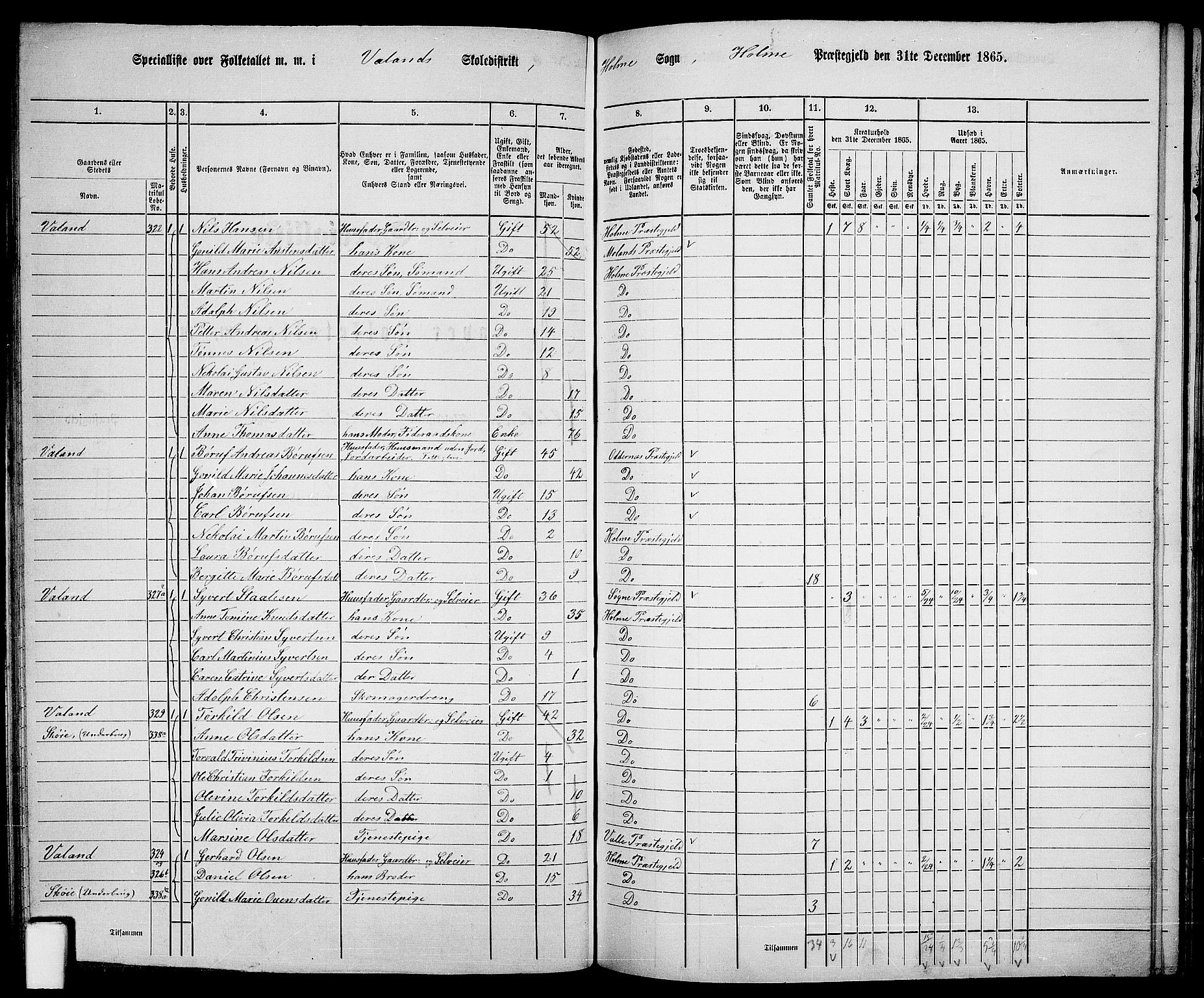 RA, 1865 census for Holum, 1865, p. 78