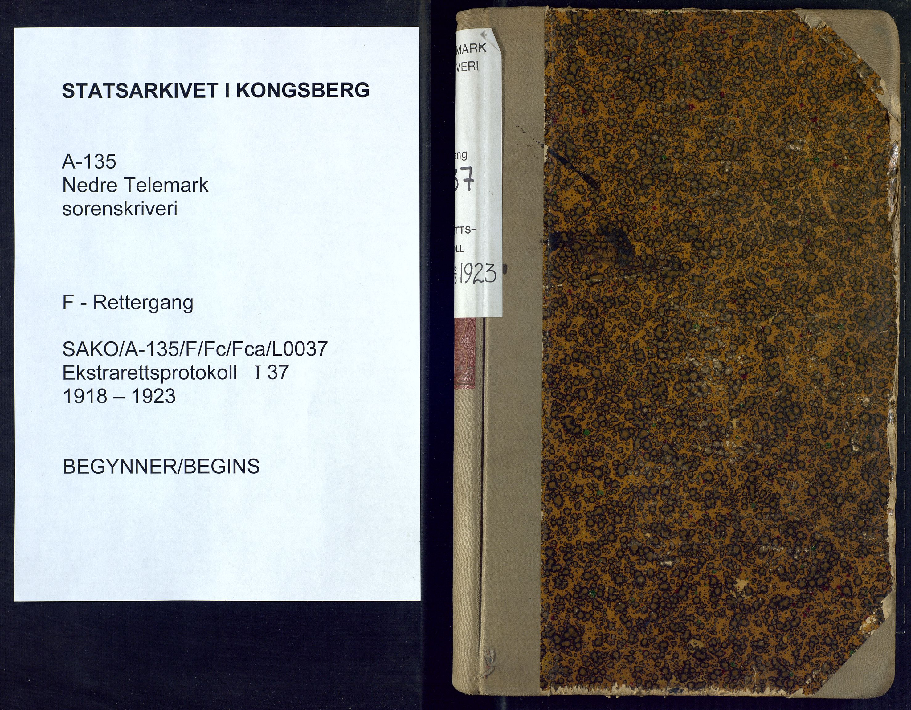 Nedre Telemark sorenskriveri, AV/SAKO-A-135/F/Fc/Fca/L0037: Ekstrarettsprotokoll, 1918-1923