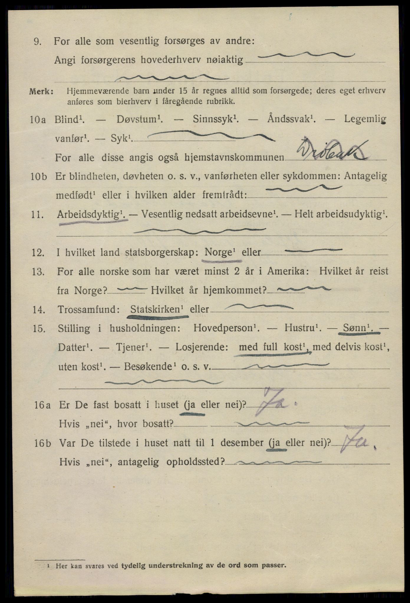 SAO, 1920 census for Drøbak, 1920, p. 4218