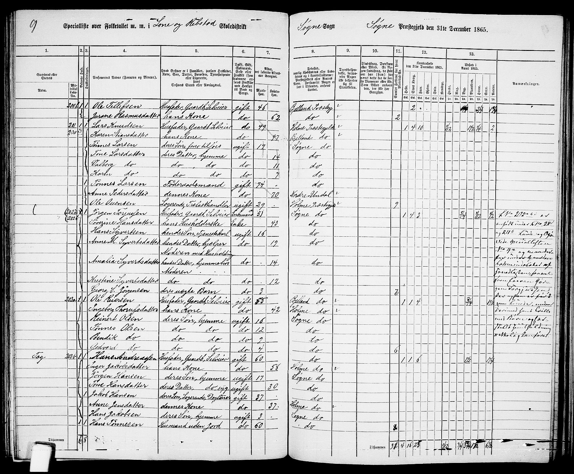 RA, 1865 census for Søgne, 1865, p. 121