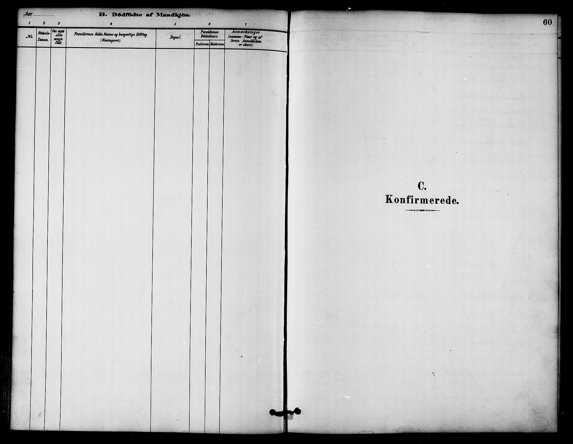 Ministerialprotokoller, klokkerbøker og fødselsregistre - Nord-Trøndelag, SAT/A-1458/766/L0563: Parish register (official) no. 767A01, 1881-1899, p. 60