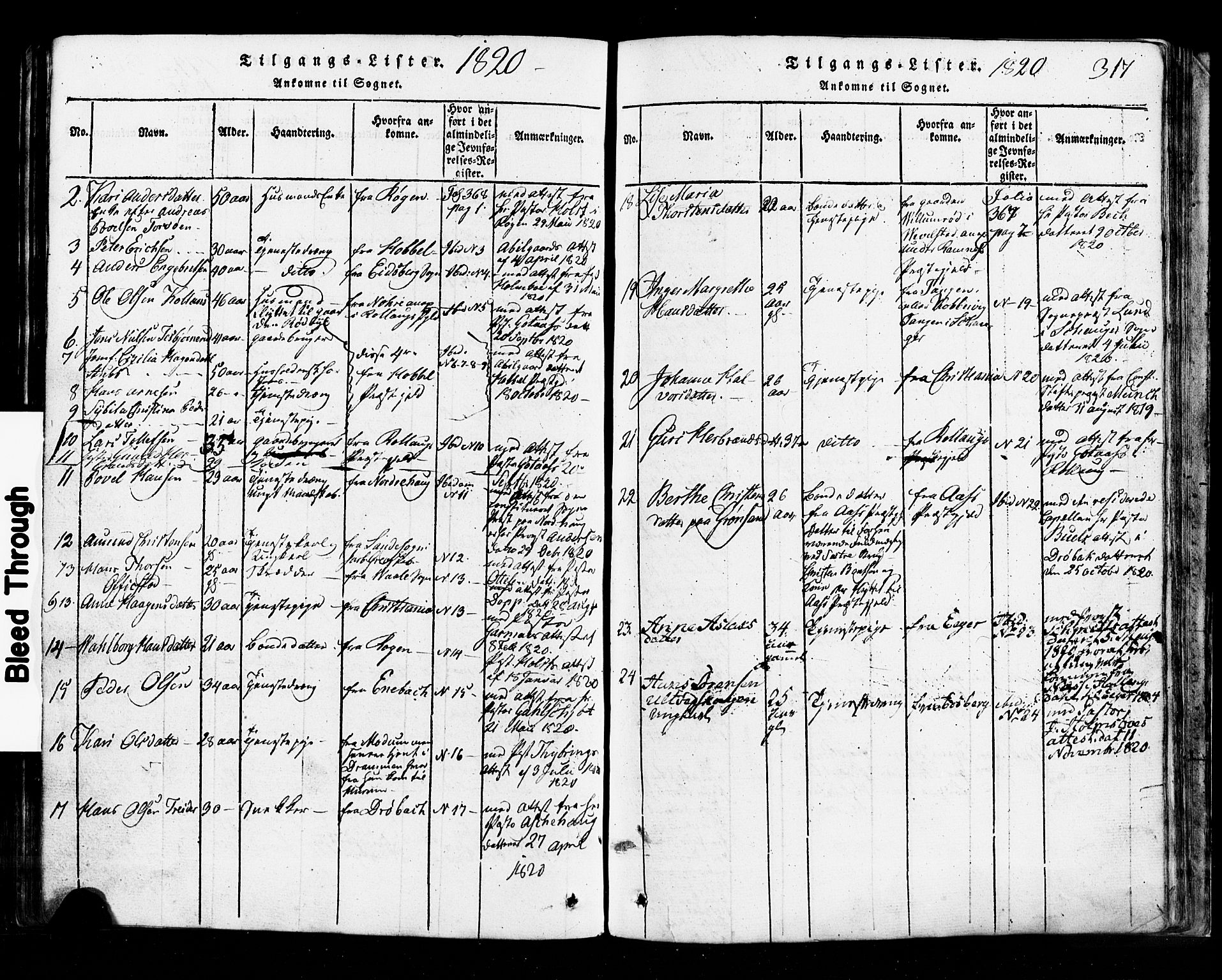 Hurum kirkebøker, AV/SAKO-A-229/G/Ga/L0001: Parish register (copy) no. I 1, 1816-1826, p. 317