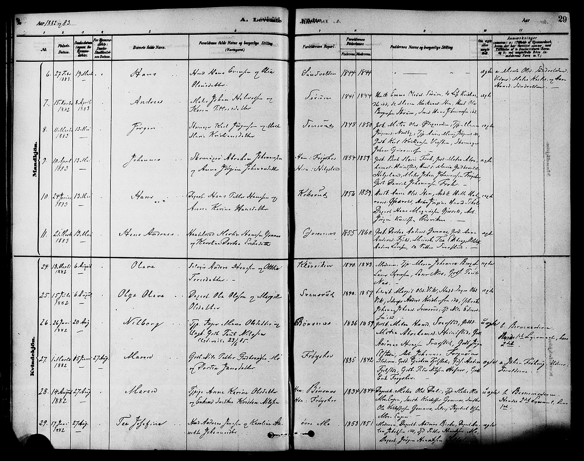 Hole kirkebøker, SAKO/A-228/F/Fa/L0008: Parish register (official) no. I 8, 1878-1891, p. 29