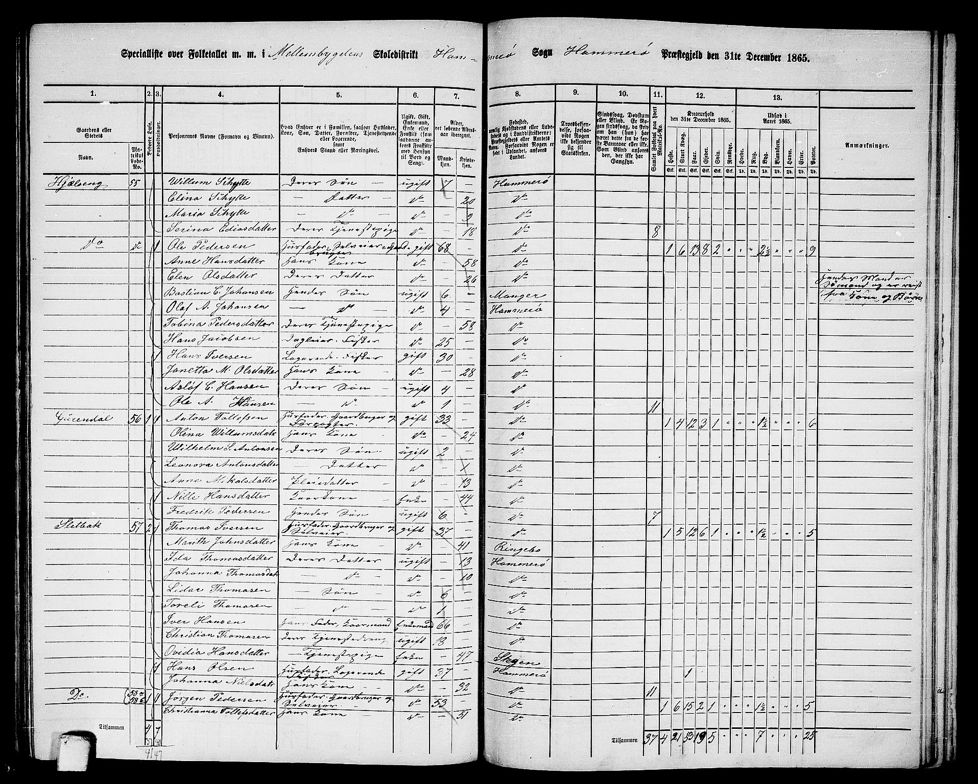 RA, 1865 census for Hamarøy, 1865, p. 35