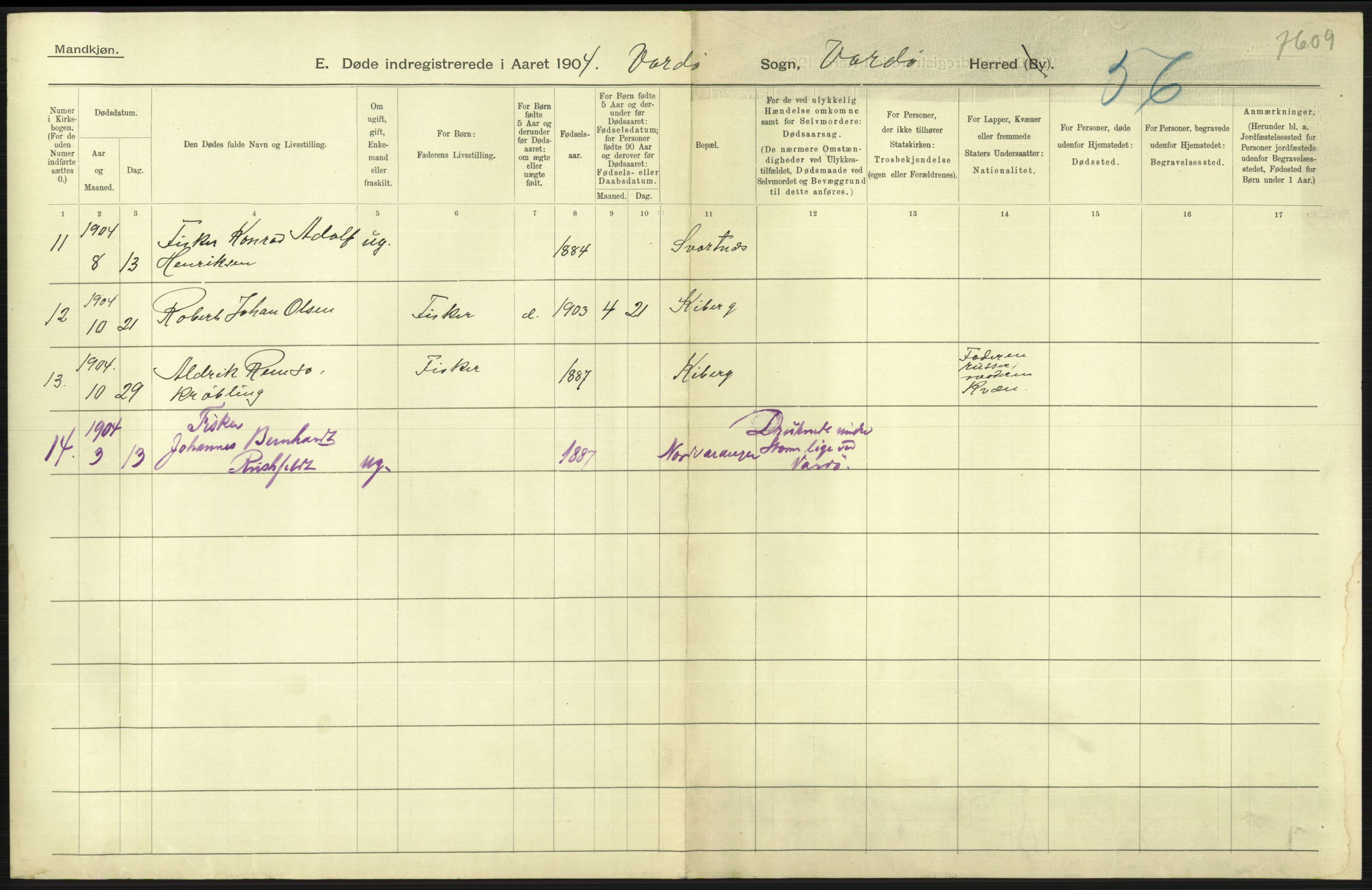 Statistisk sentralbyrå, Sosiodemografiske emner, Befolkning, AV/RA-S-2228/D/Df/Dfa/Dfab/L0023: Finnmarkens amt: Fødte, gifte, døde, 1904, p. 253