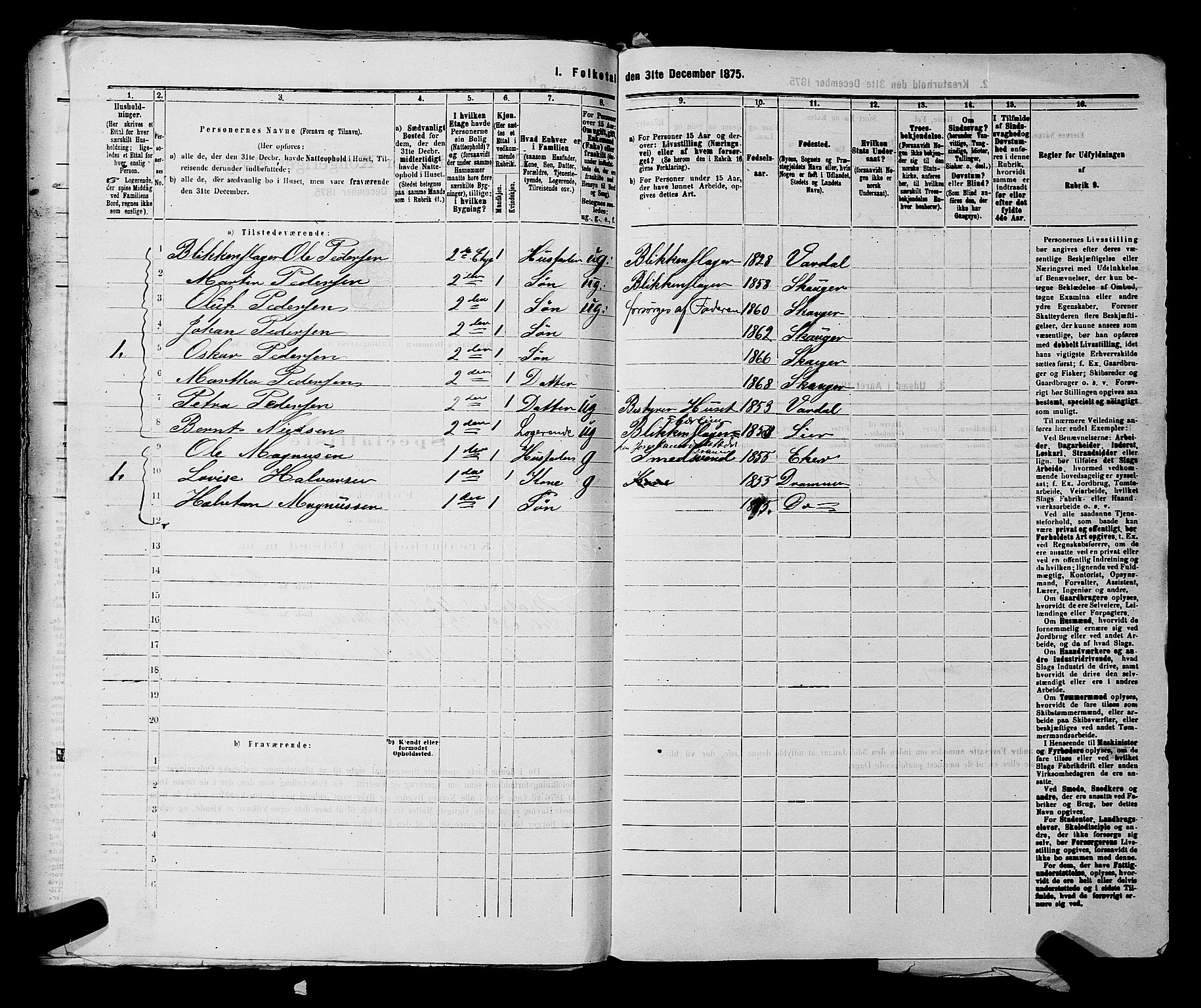 SAKO, 1875 census for 0602 Drammen, 1875, p. 2248