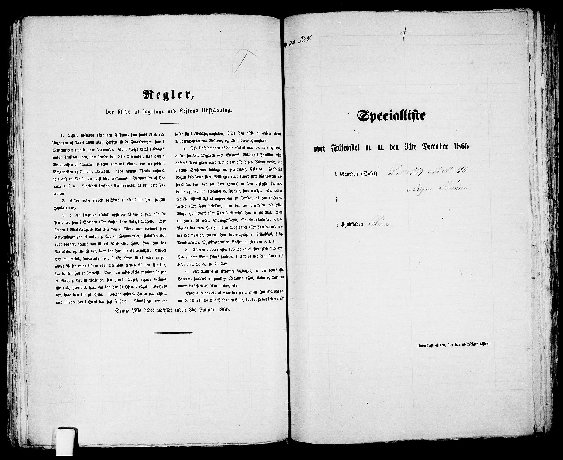 RA, 1865 census for Skien, 1865, p. 1073