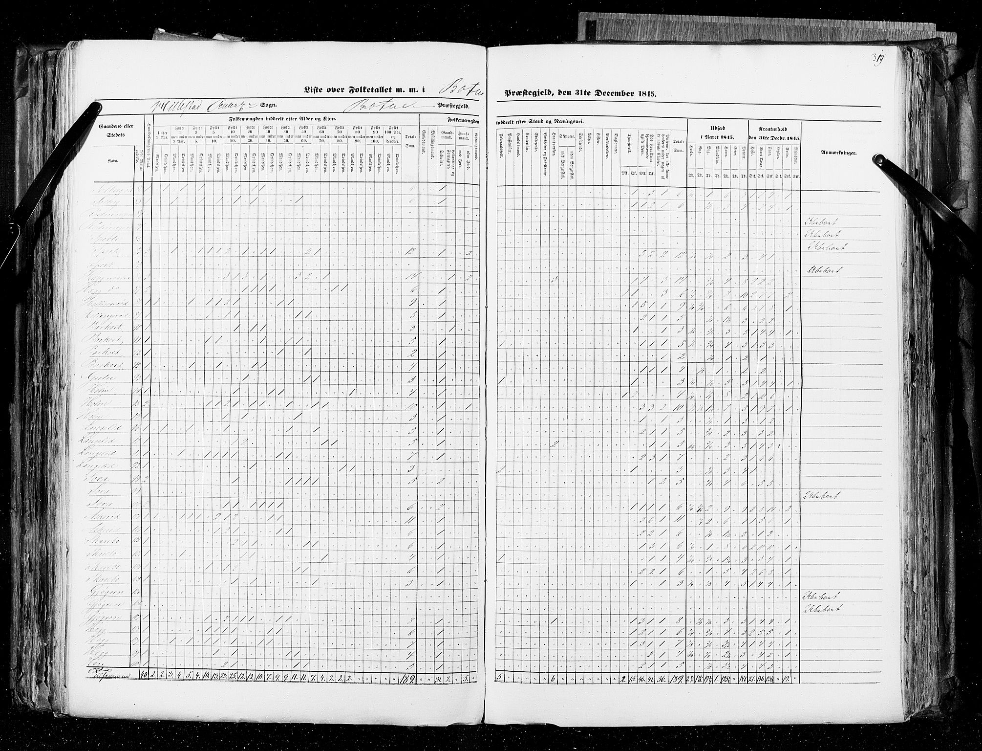 RA, Census 1845, vol. 4: Buskerud amt og Jarlsberg og Larvik amt, 1845, p. 319