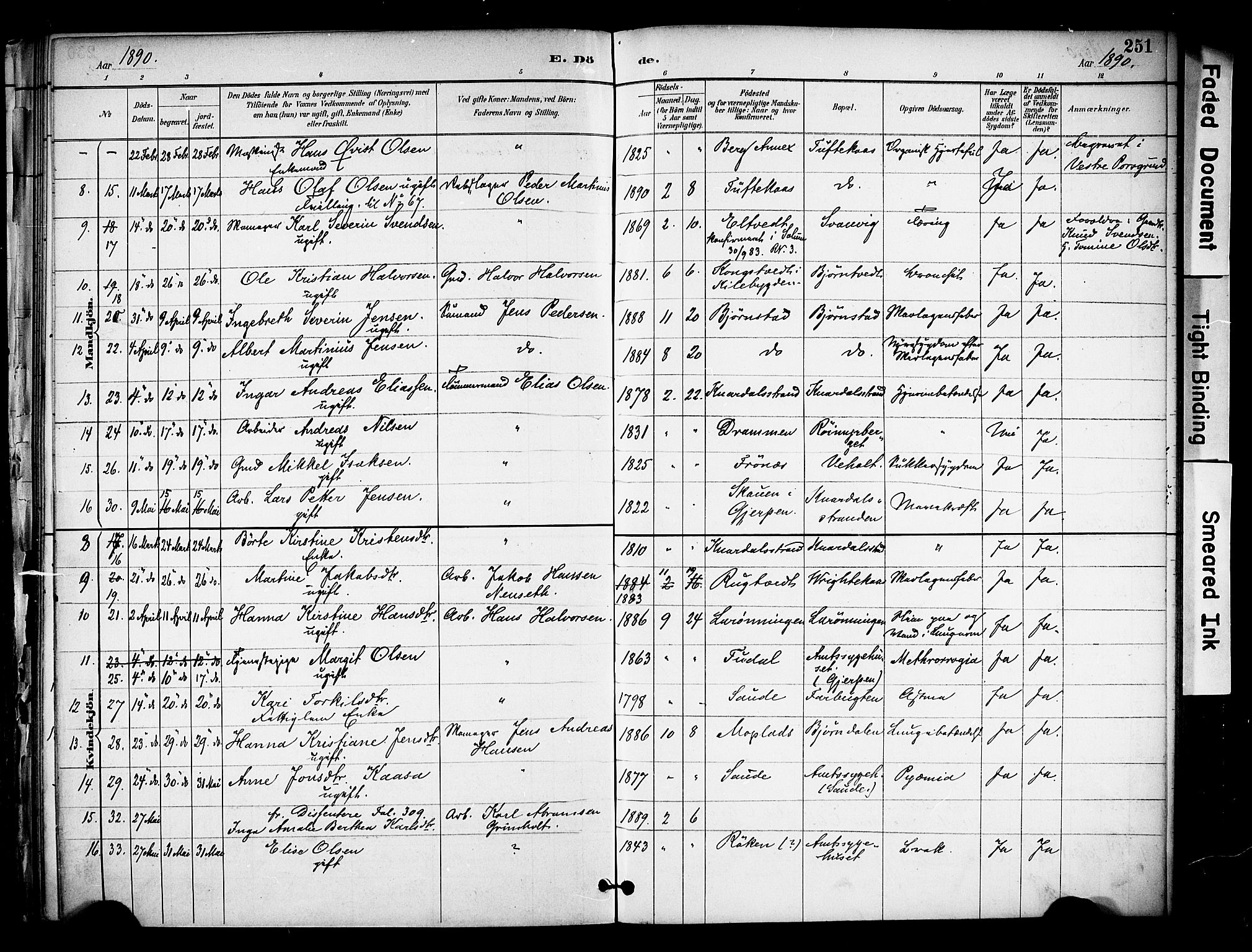 Solum kirkebøker, AV/SAKO-A-306/F/Fa/L0010: Parish register (official) no. I 10, 1888-1898, p. 251