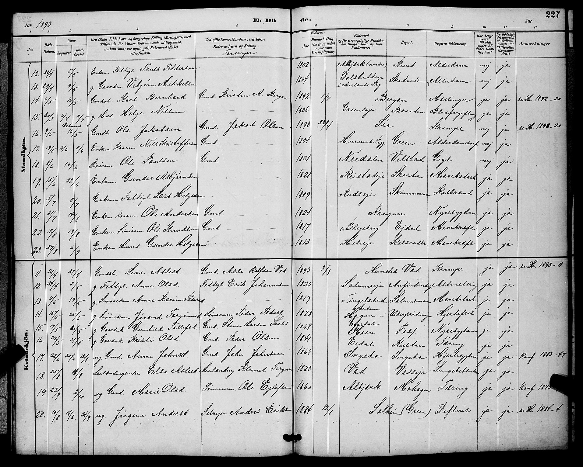 Sigdal kirkebøker, AV/SAKO-A-245/G/Ga/L0005: Parish register (copy) no. I 5, 1886-1900, p. 227