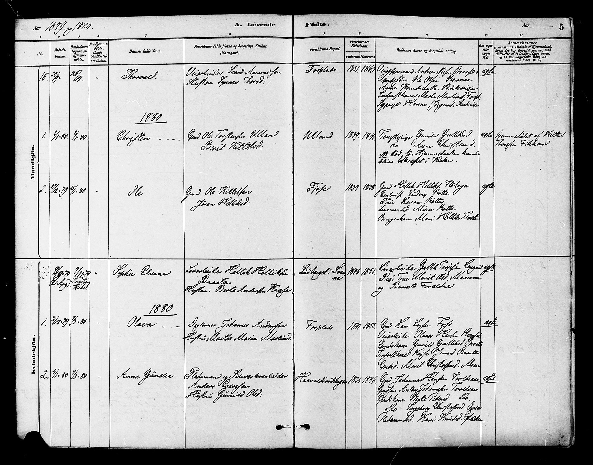 Flesberg kirkebøker, AV/SAKO-A-18/F/Fb/L0001: Parish register (official) no. II 1, 1879-1907, p. 5