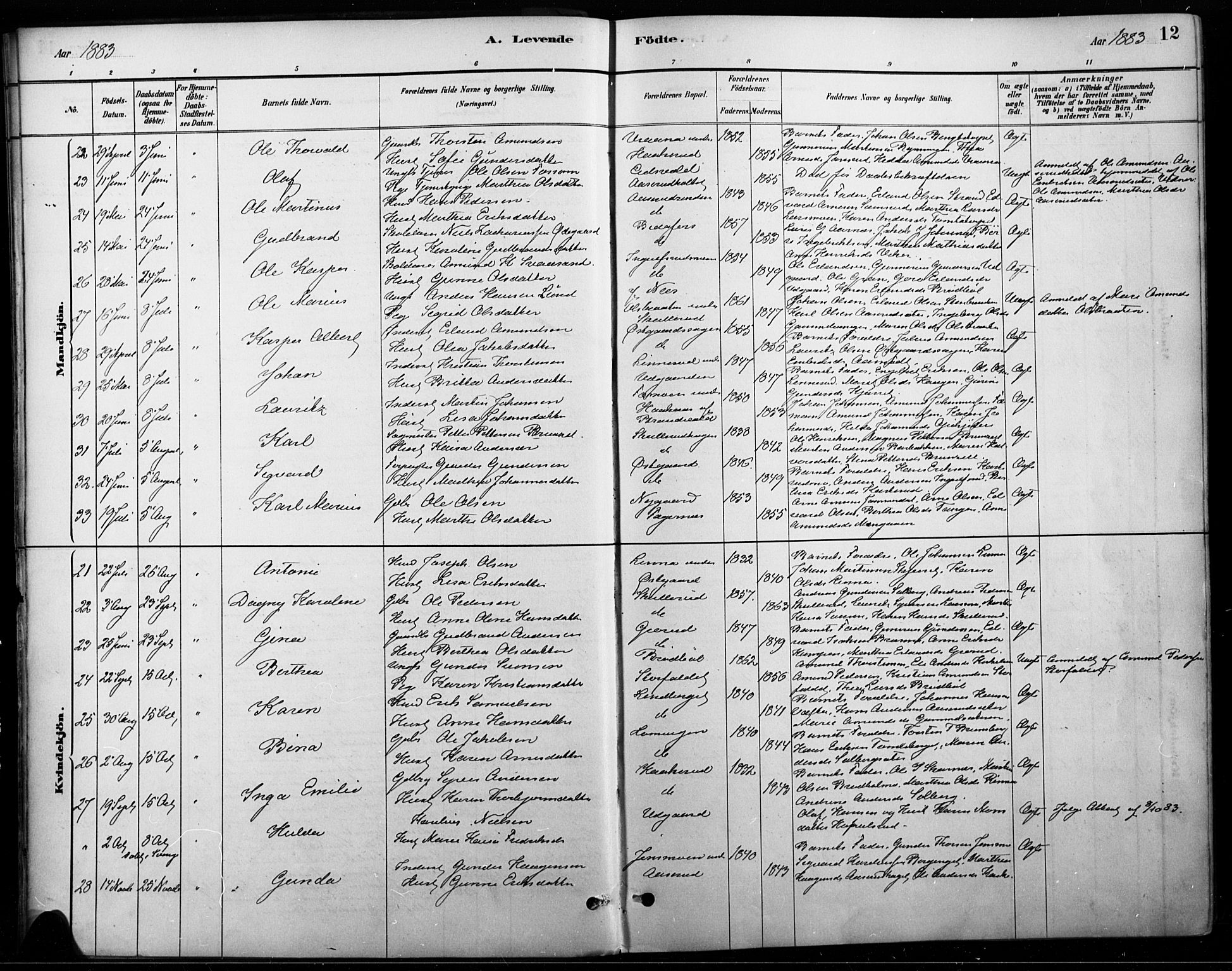 Vinger prestekontor, AV/SAH-PREST-024/H/Ha/Haa/L0015: Parish register (official) no. 15, 1881-1900, p. 12