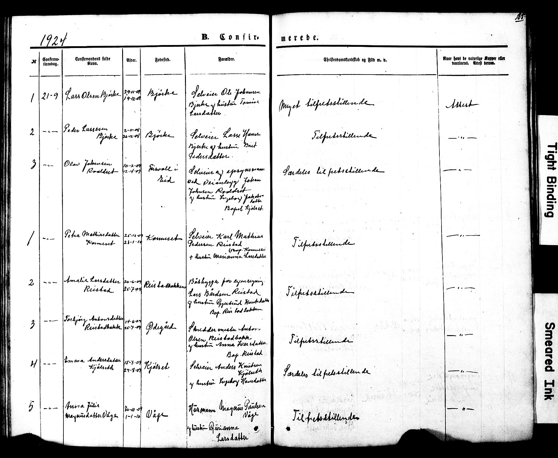 Ministerialprotokoller, klokkerbøker og fødselsregistre - Møre og Romsdal, SAT/A-1454/550/L0618: Parish register (copy) no. 550C01, 1870-1927, p. 185