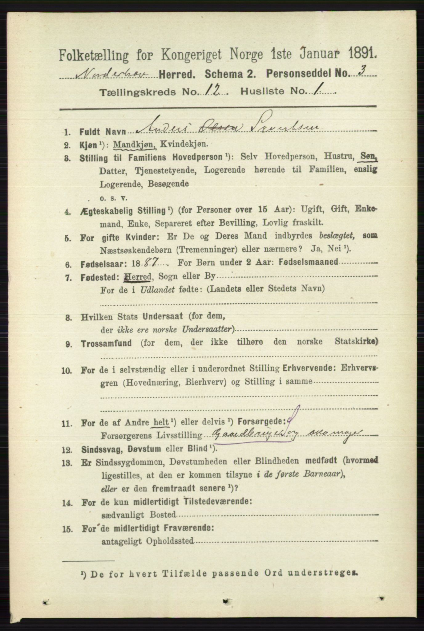 RA, 1891 census for 0613 Norderhov, 1891, p. 8540