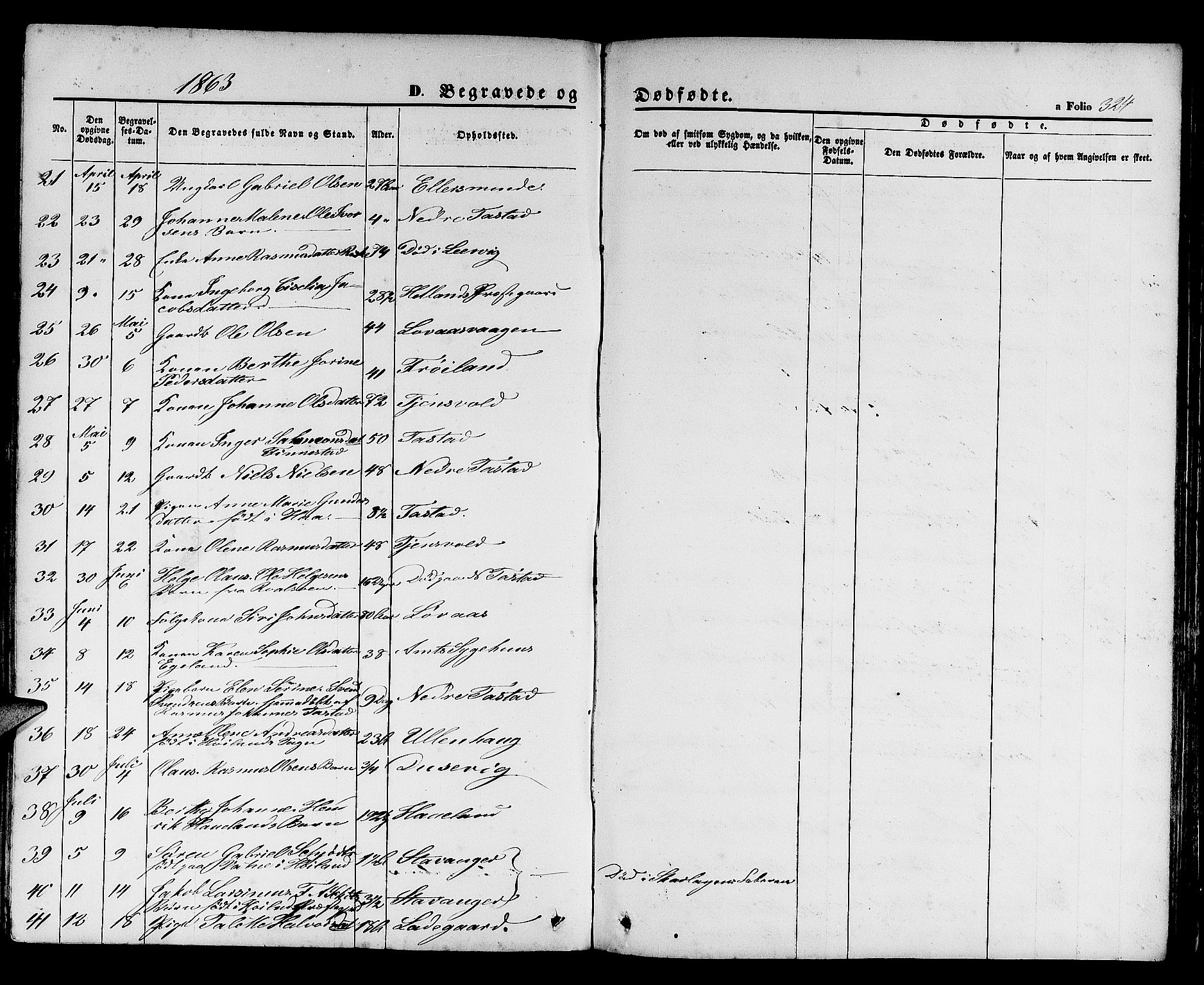 Hetland sokneprestkontor, SAST/A-101826/30/30BB/L0003: Parish register (copy) no. B 3, 1863-1877, p. 324