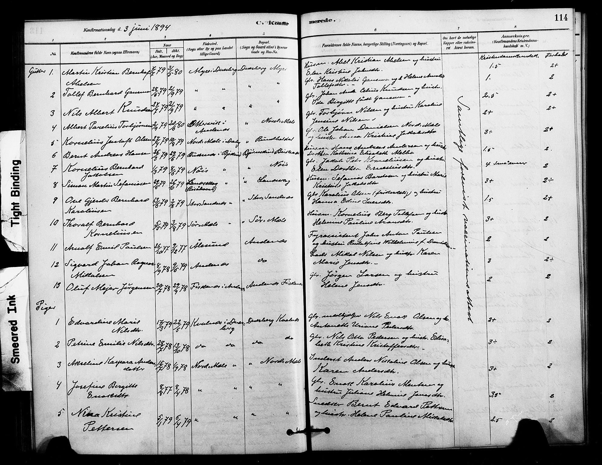 Ministerialprotokoller, klokkerbøker og fødselsregistre - Nordland, AV/SAT-A-1459/897/L1399: Parish register (official) no. 897C06, 1881-1896, p. 114