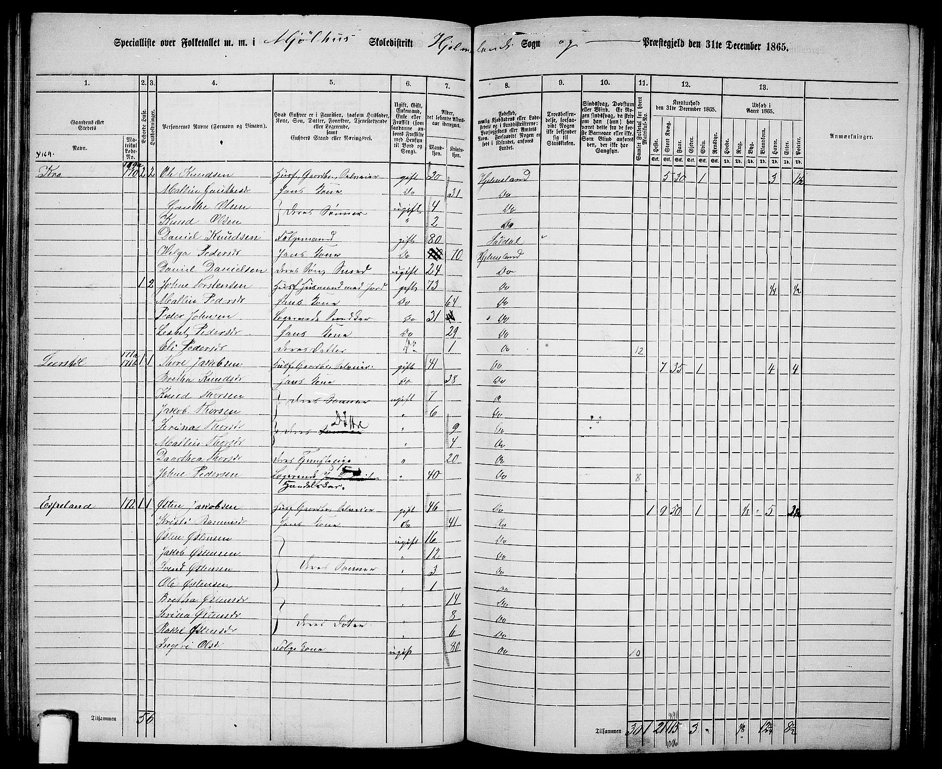 RA, 1865 census for Hjelmeland, 1865, p. 104