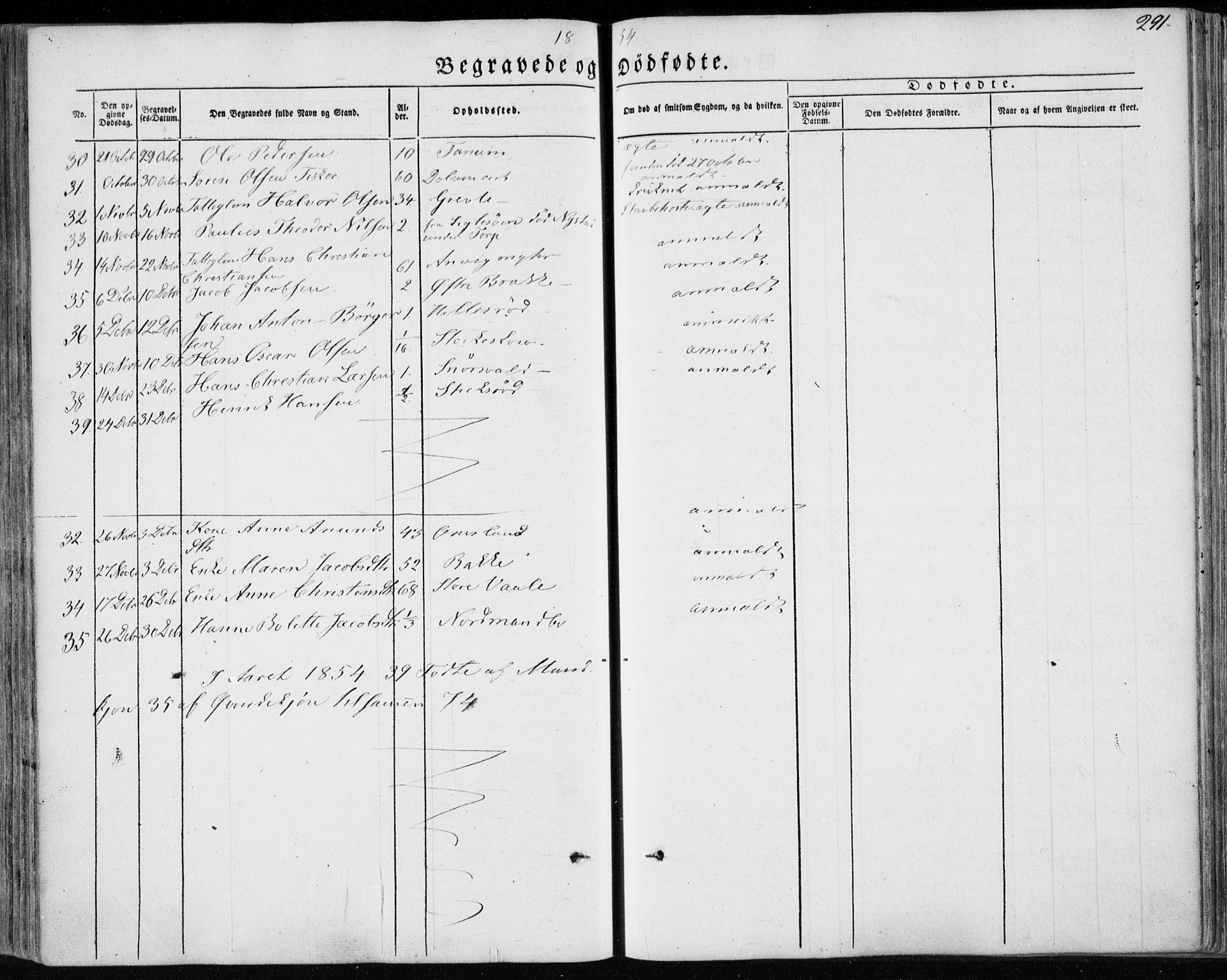 Brunlanes kirkebøker, AV/SAKO-A-342/F/Fa/L0004: Parish register (official) no. I 4, 1846-1862, p. 291