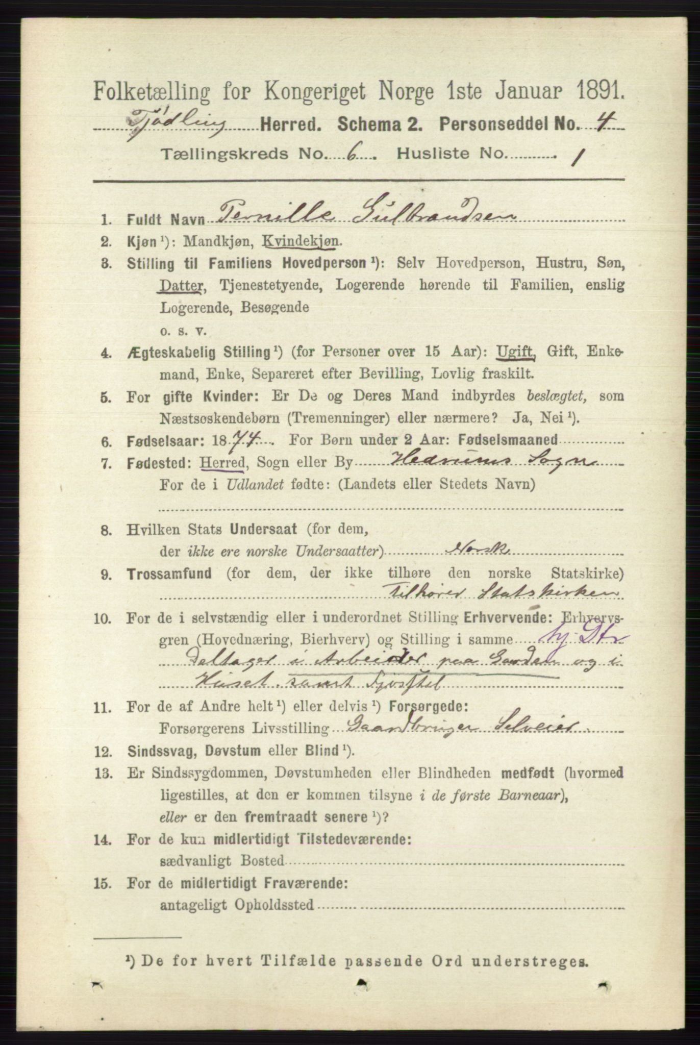 RA, 1891 census for 0725 Tjølling, 1891, p. 2904