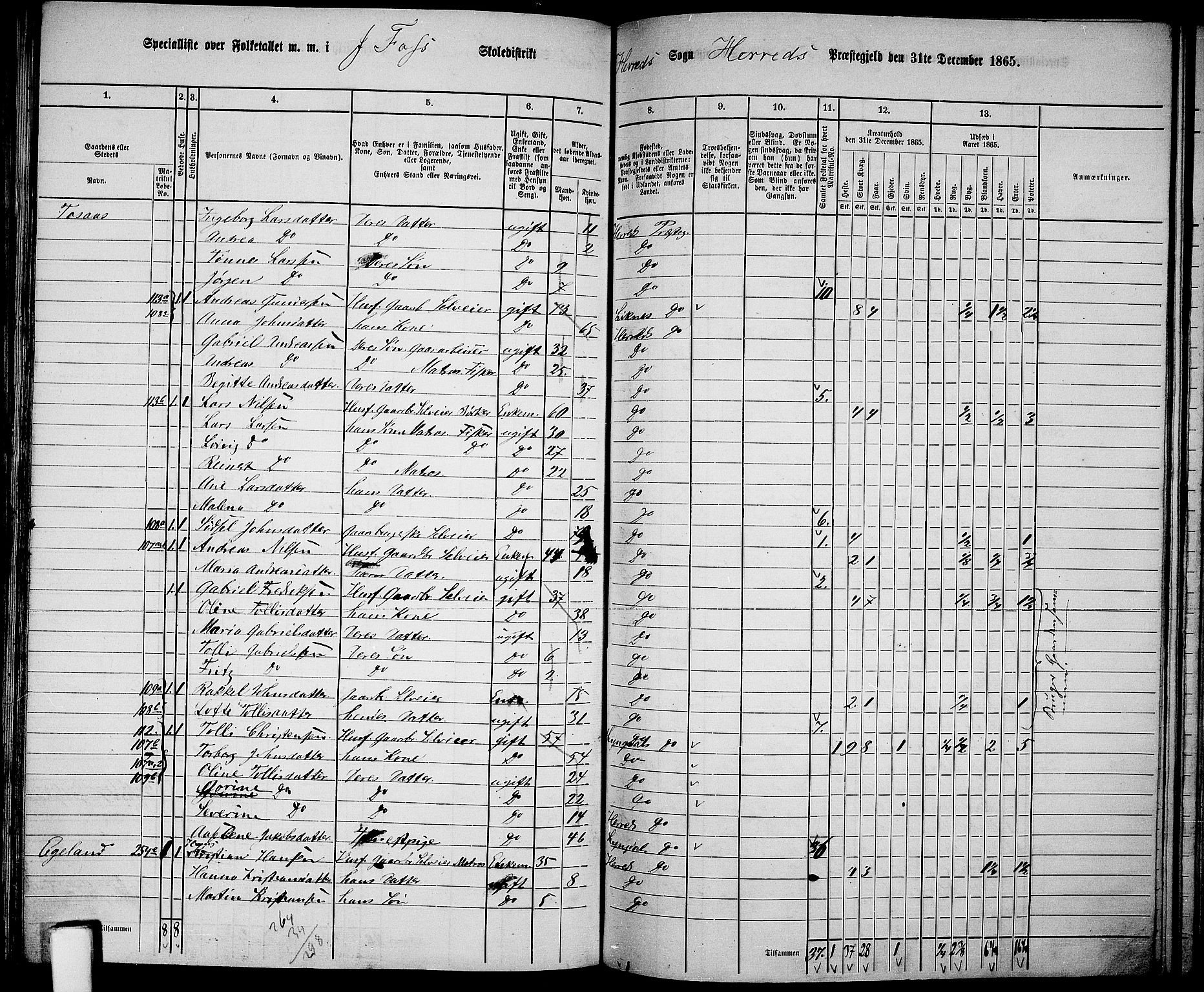 RA, 1865 census for Herad, 1865, p. 30