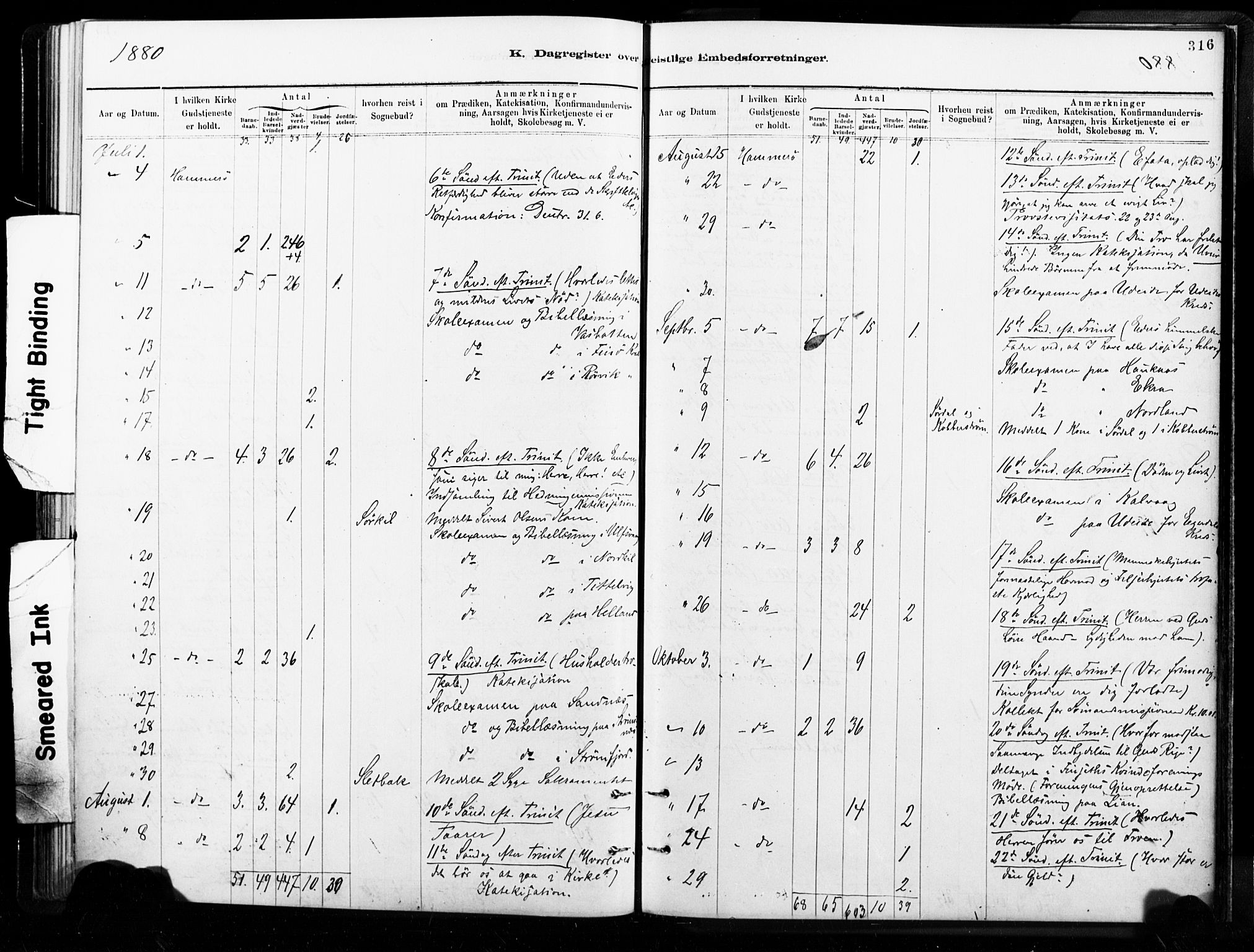 Ministerialprotokoller, klokkerbøker og fødselsregistre - Nordland, AV/SAT-A-1459/859/L0846: Parish register (official) no. 859A06, 1878-1889, p. 316