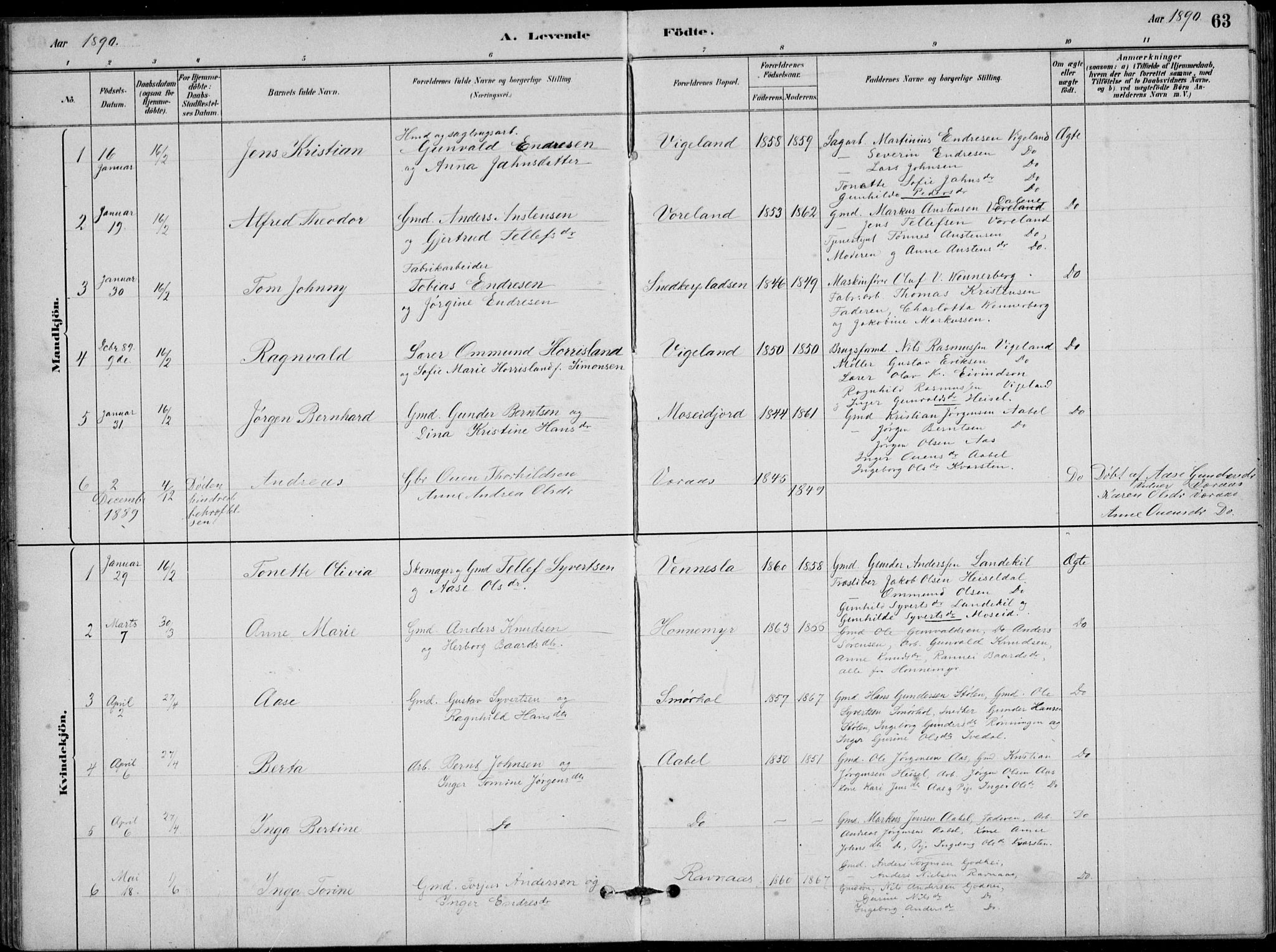 Vennesla sokneprestkontor, AV/SAK-1111-0045/Fb/Fbb/L0003: Parish register (copy) no. B 3, 1879-1893, p. 63