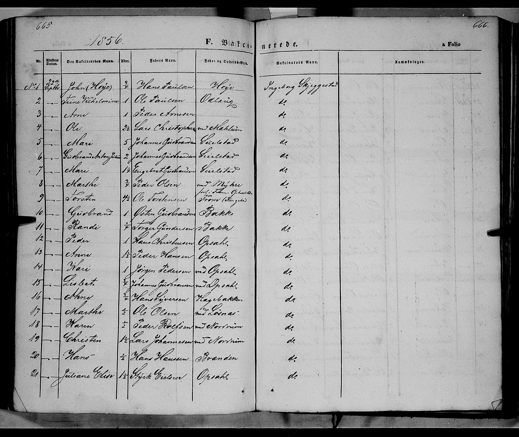 Ringebu prestekontor, SAH/PREST-082/H/Ha/Haa/L0006: Parish register (official) no. 6, 1848-1859, p. 665-666