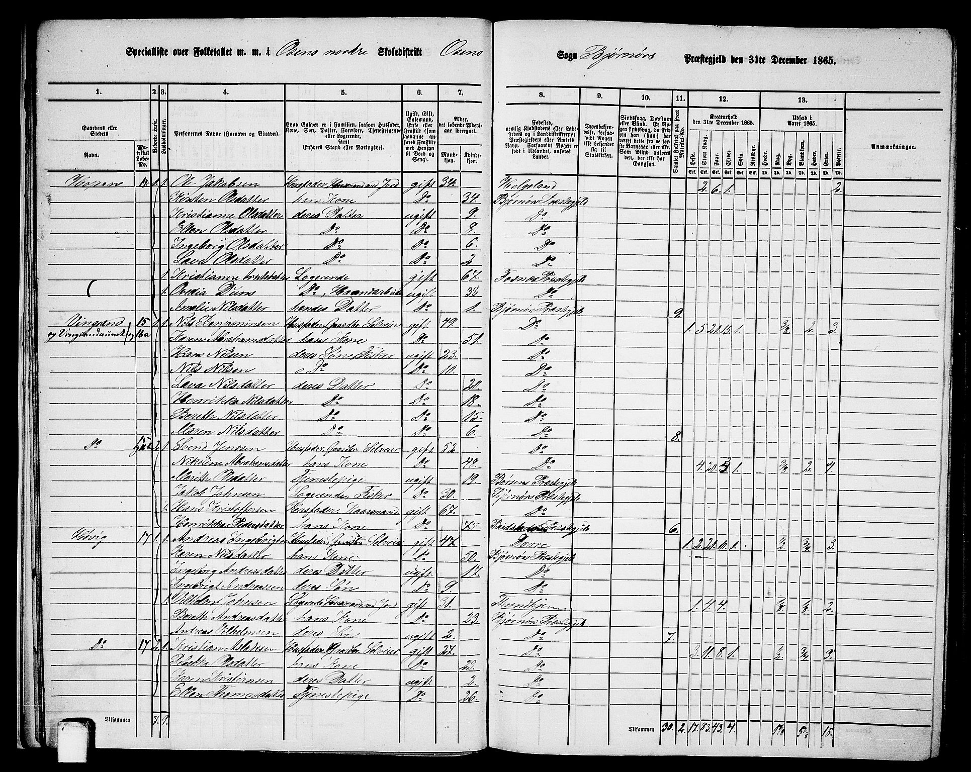 RA, 1865 census for Bjørnør, 1865, p. 19