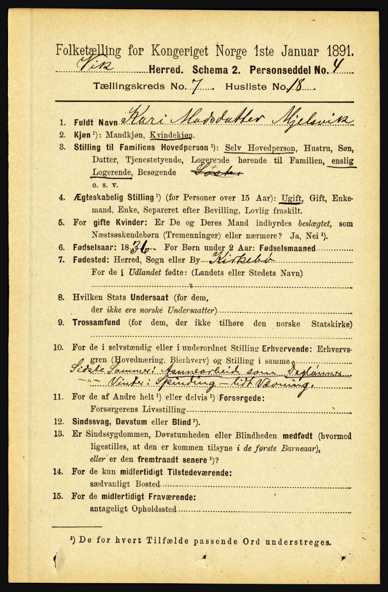 RA, 1891 census for 1417 Vik, 1891, p. 3317