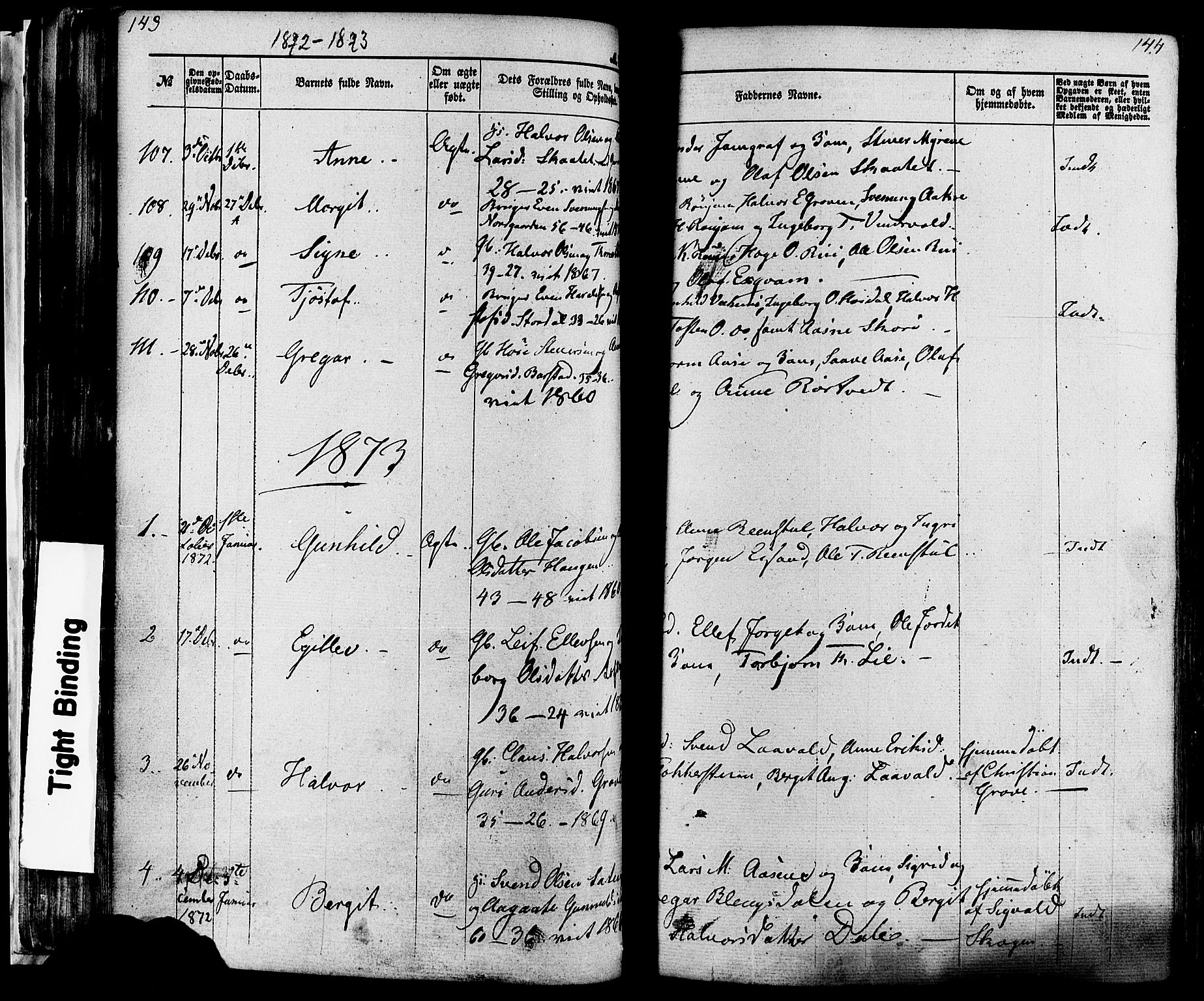 Seljord kirkebøker, AV/SAKO-A-20/F/Fa/L0013: Parish register (official) no. I 13, 1866-1876, p. 143-144