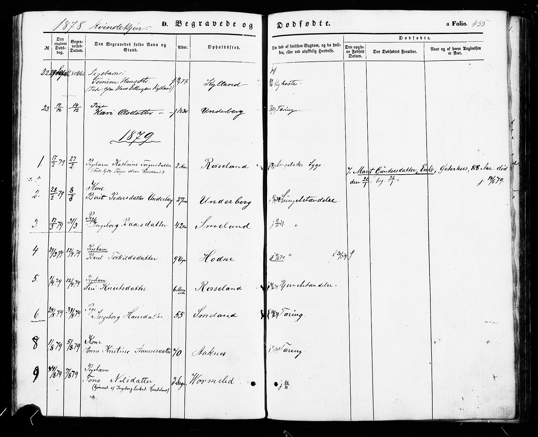 Åseral sokneprestkontor, AV/SAK-1111-0051/F/Fa/L0002: Parish register (official) no. A 2, 1854-1884, p. 455