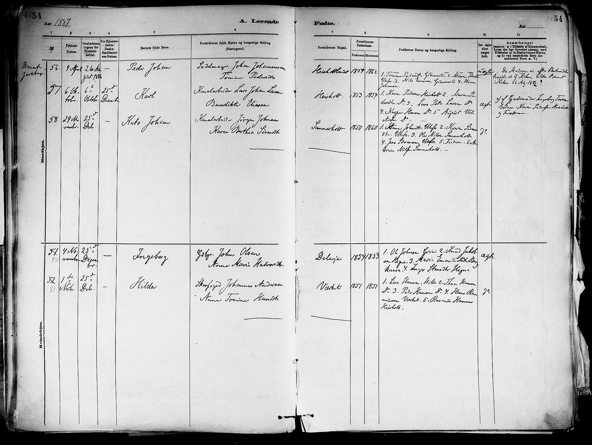 Holla kirkebøker, SAKO/A-272/F/Fa/L0008: Parish register (official) no. 8, 1882-1897, p. 54