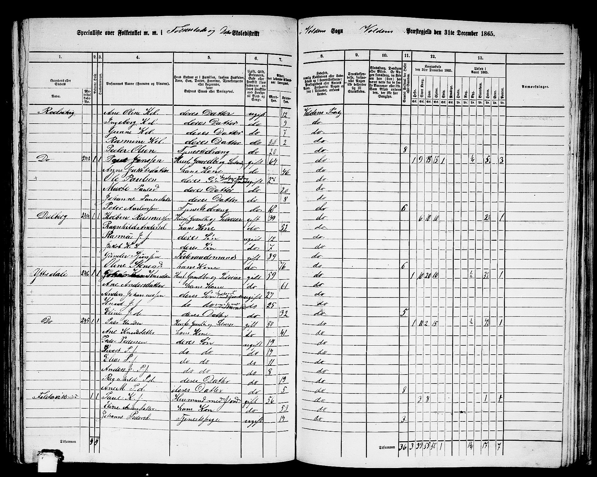 RA, 1865 census for Volda, 1865, p. 129