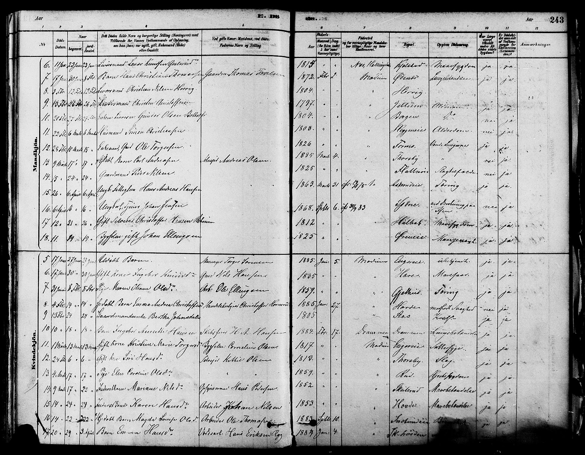 Modum kirkebøker, SAKO/A-234/F/Fa/L0011: Parish register (official) no. 11, 1877-1889, p. 243