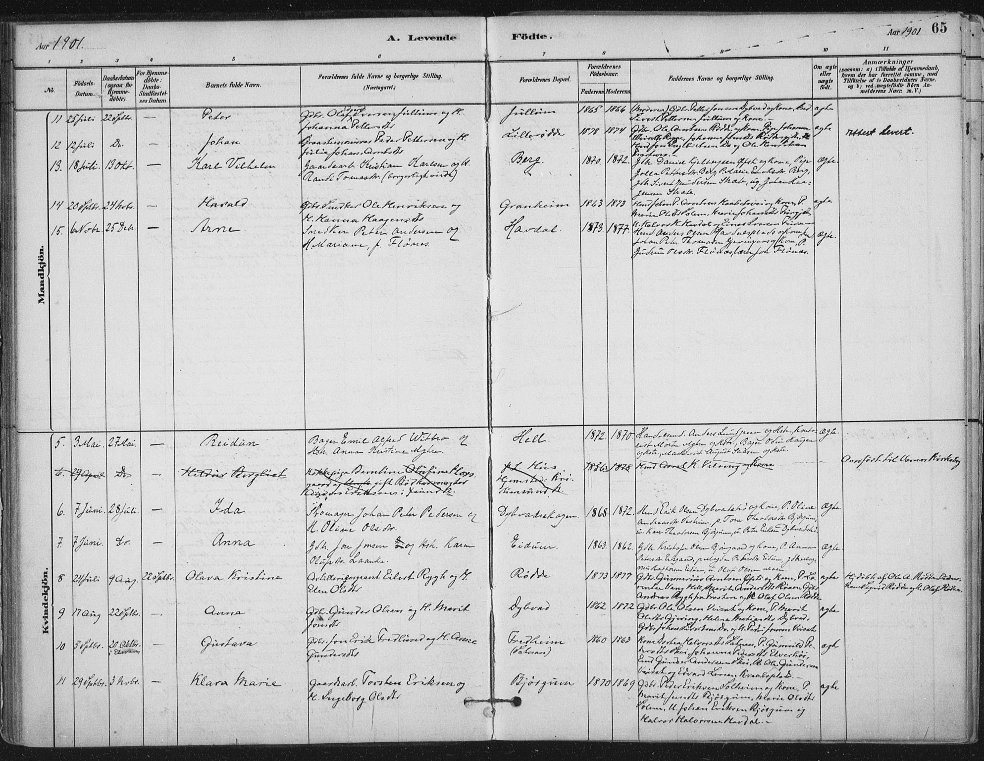 Ministerialprotokoller, klokkerbøker og fødselsregistre - Nord-Trøndelag, SAT/A-1458/710/L0095: Parish register (official) no. 710A01, 1880-1914, p. 65