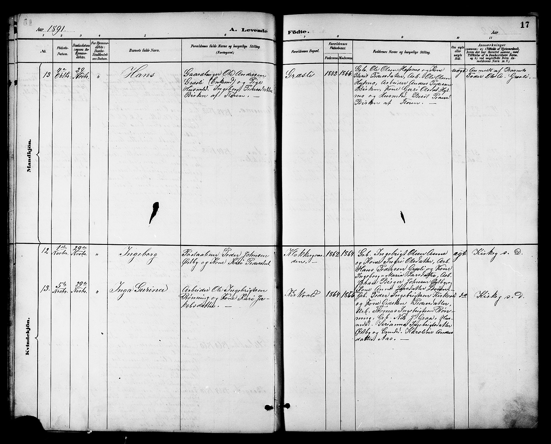 Ministerialprotokoller, klokkerbøker og fødselsregistre - Sør-Trøndelag, AV/SAT-A-1456/698/L1167: Parish register (copy) no. 698C04, 1888-1907, p. 17