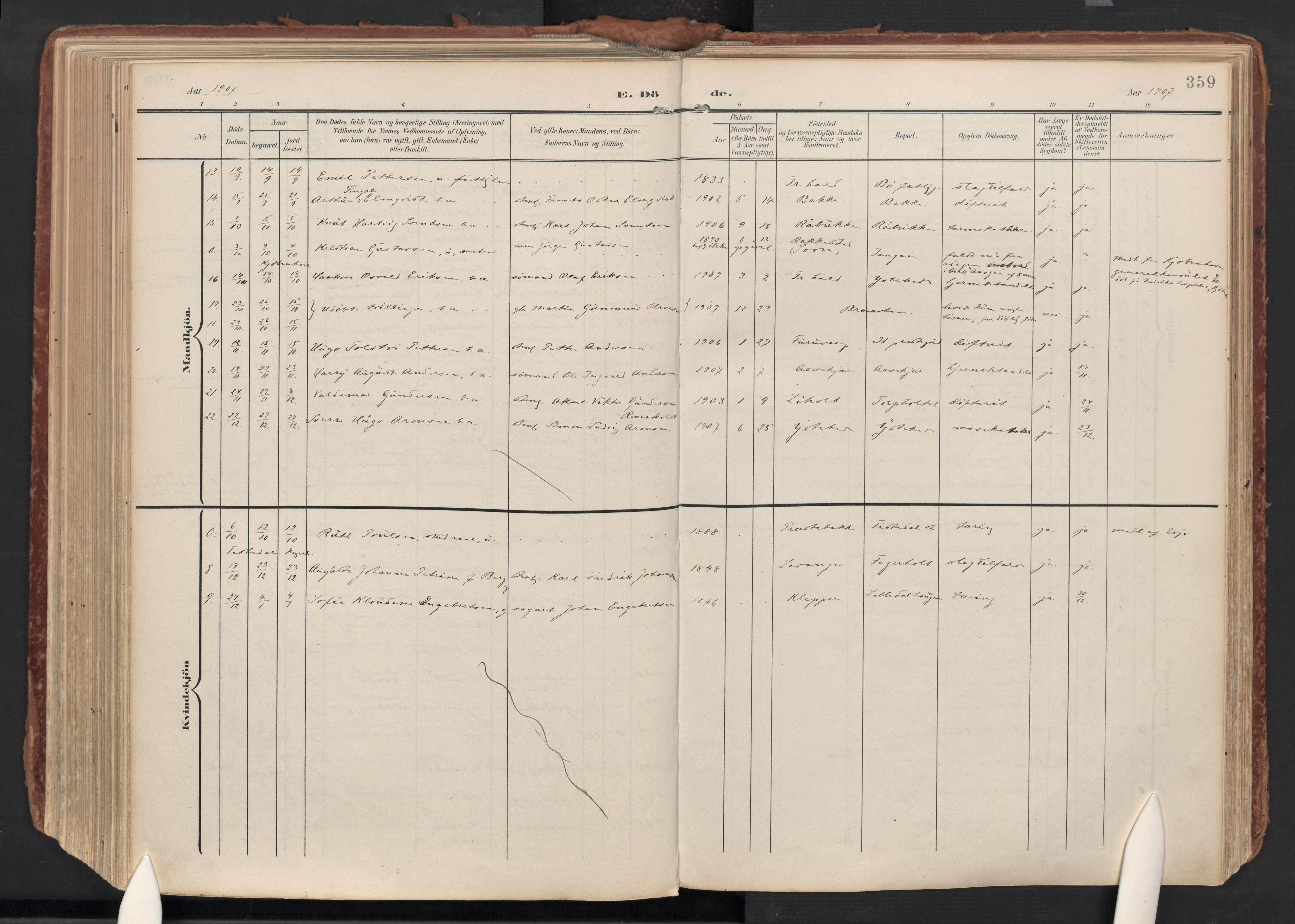 Idd prestekontor Kirkebøker, AV/SAO-A-10911/F/Fc/L0007: Parish register (official) no. III 7, 1904-1925, p. 359