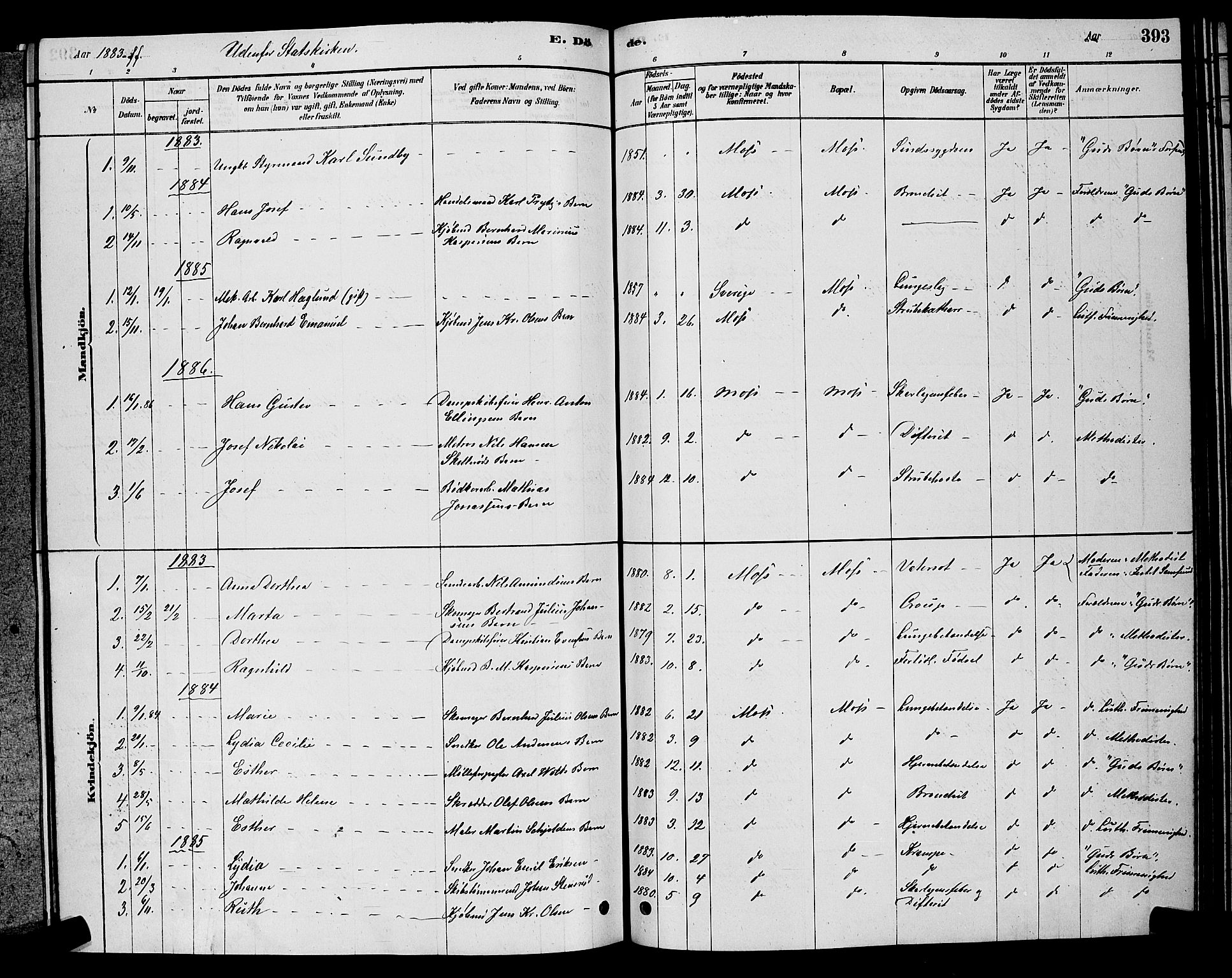 Moss prestekontor Kirkebøker, AV/SAO-A-2003/G/Ga/L0005: Parish register (copy) no. I 5, 1878-1888, p. 393