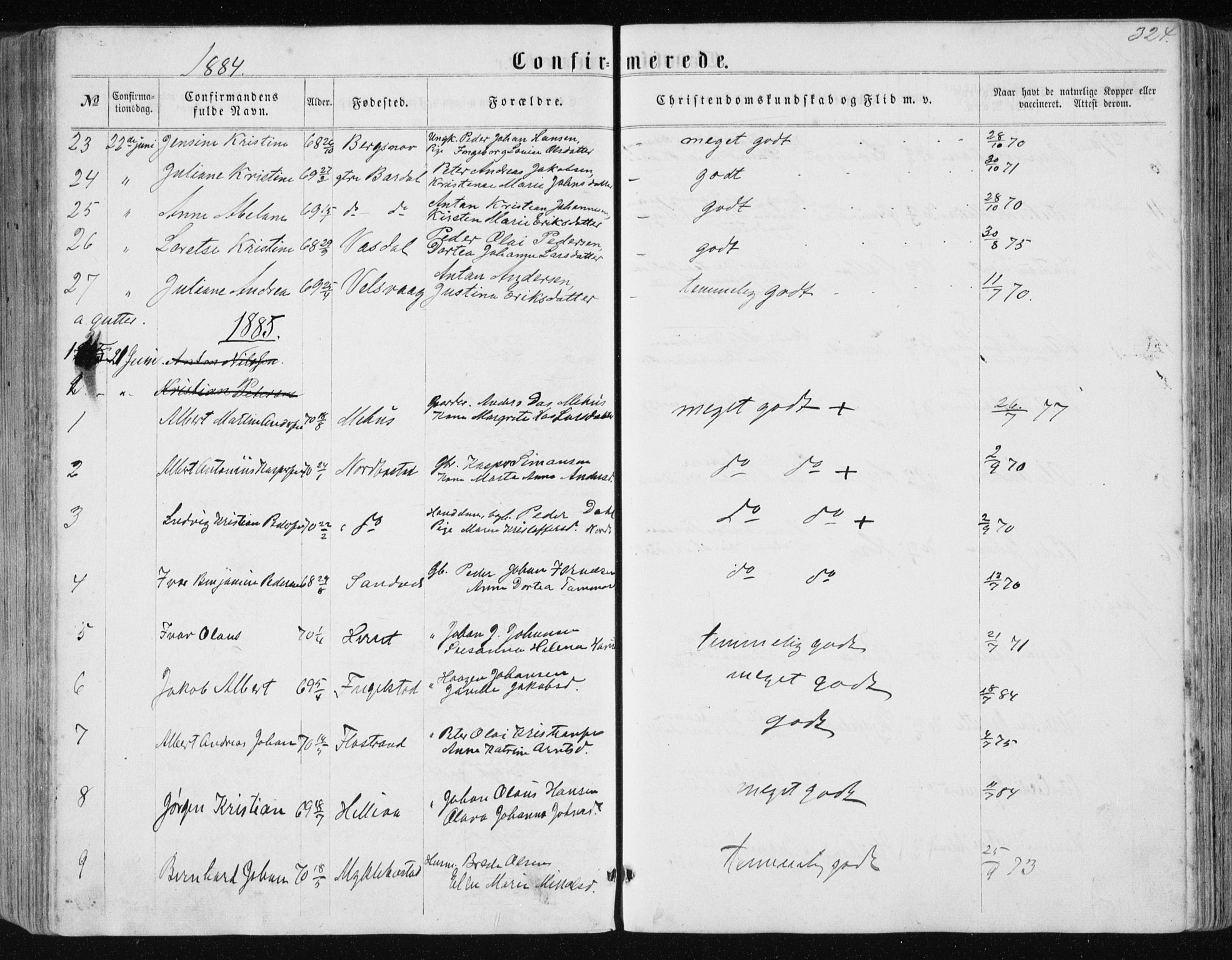 Ministerialprotokoller, klokkerbøker og fødselsregistre - Nordland, AV/SAT-A-1459/838/L0556: Parish register (copy) no. 838C03, 1861-1893, p. 324